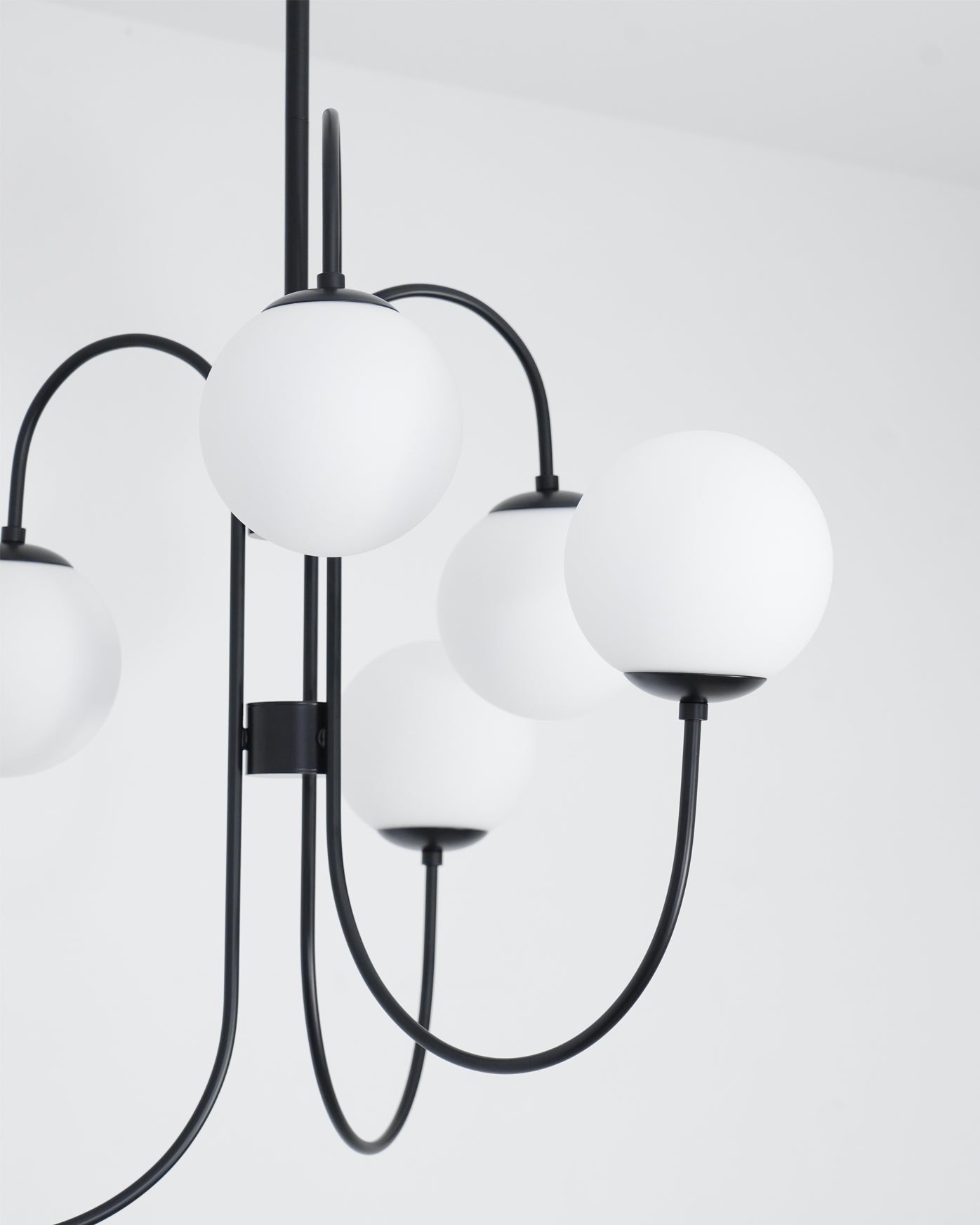 Swan Curve Glass Chandelier