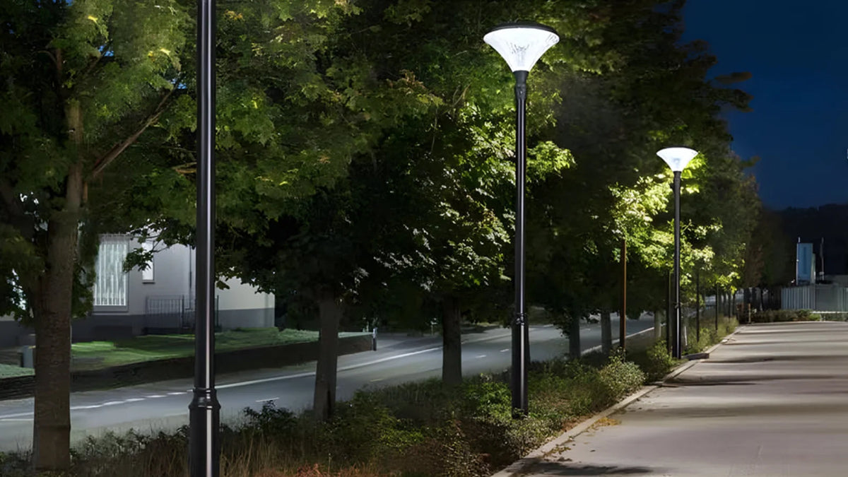 Outdoor post lights illuminating a tree-lined pathway at night with black poles and white lamp heads