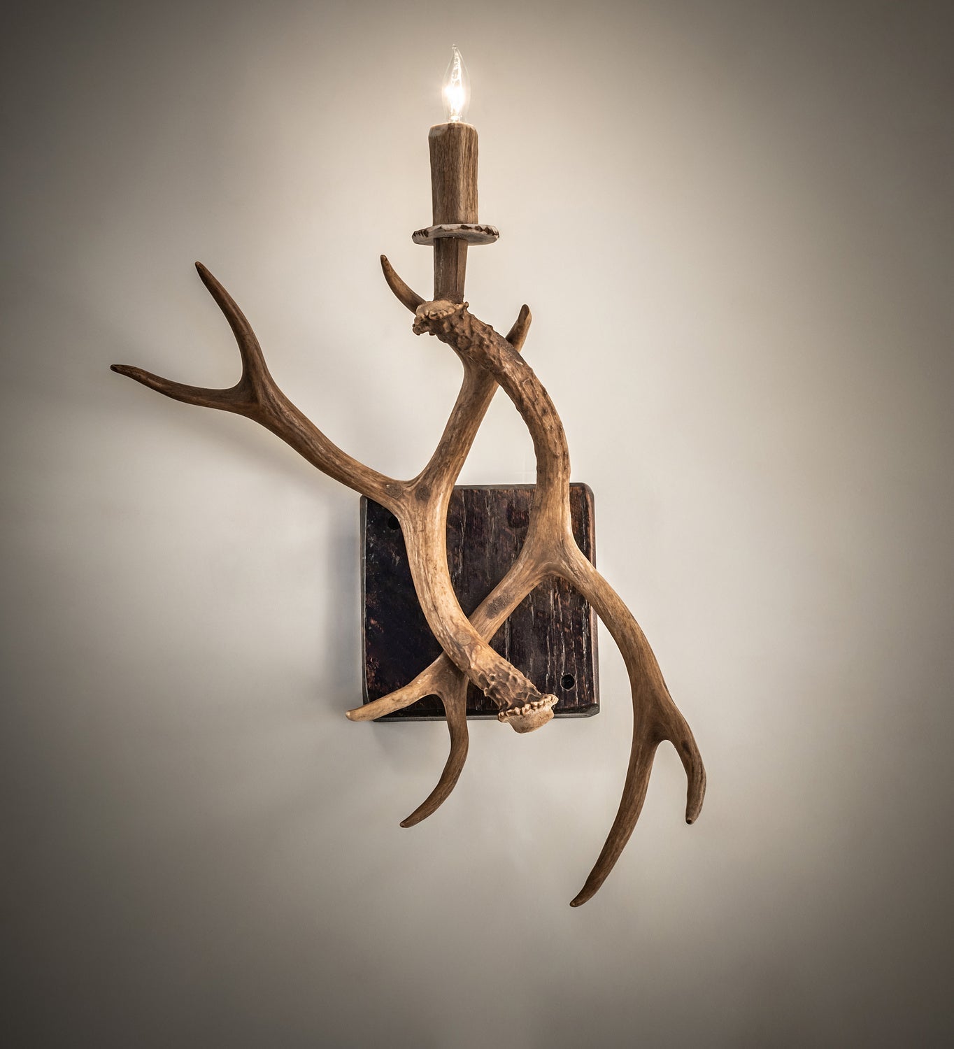 Antlers Elk and Mule Deer 1-Light 20.00" Natural Antler Wall Sconce detail view 4