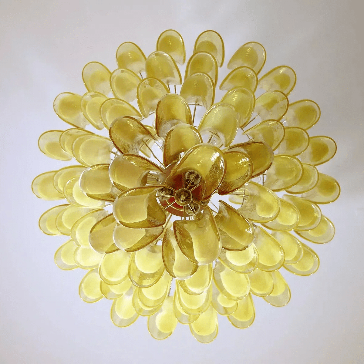 Dravina Glass Petals Chandelier