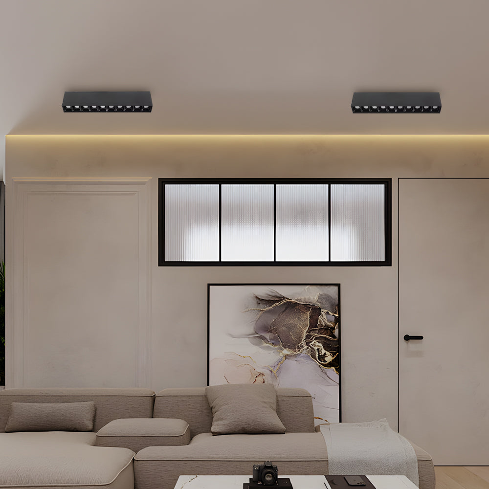 Surface Mount Linear LED Ceiling Fixture Ceiling Light
