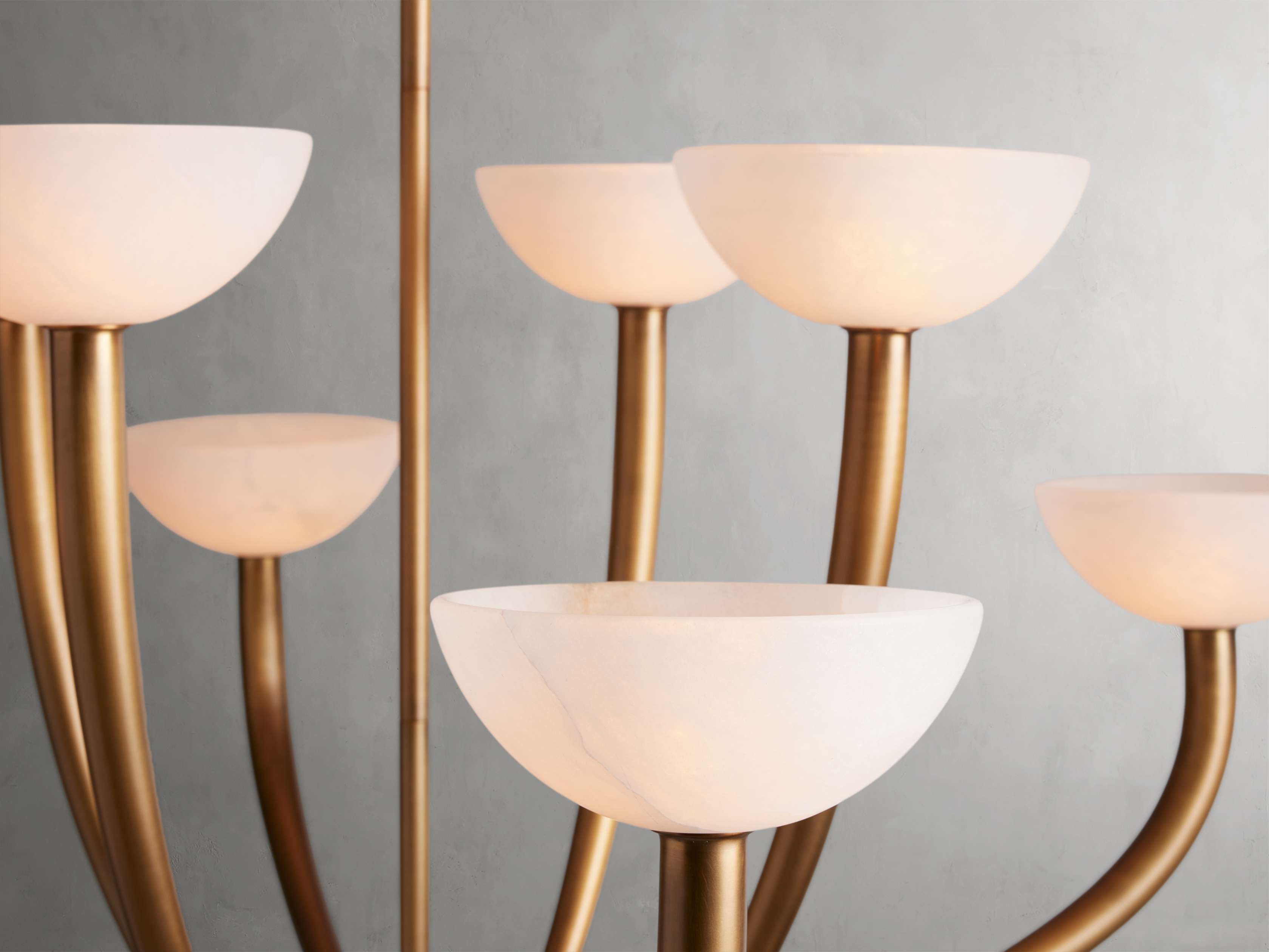 Saguaro Chandelier