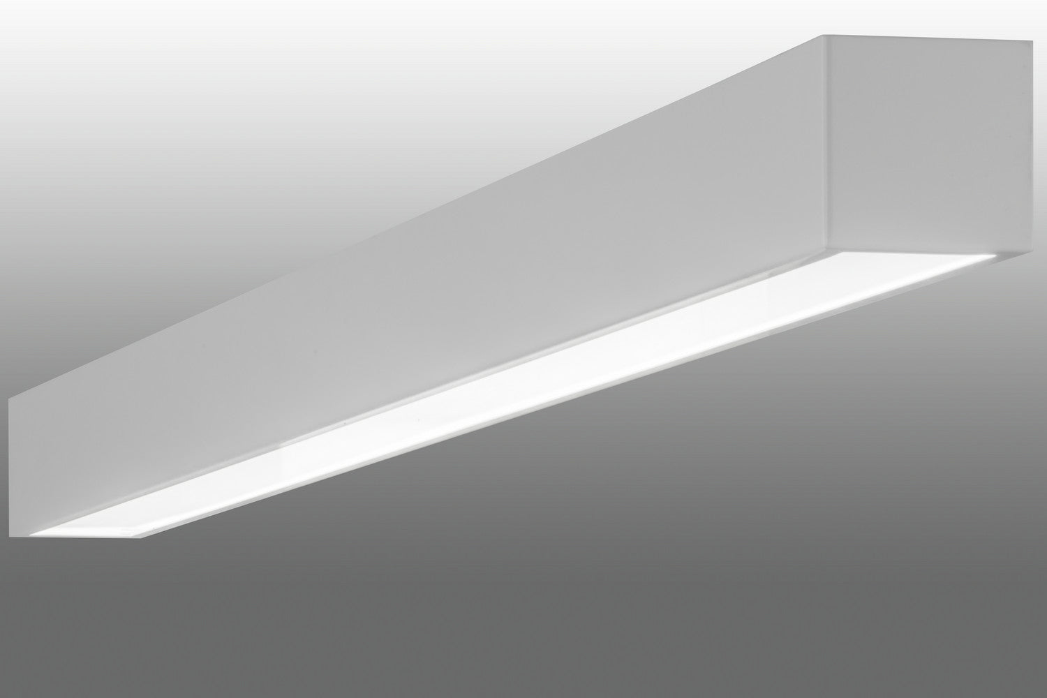 Lineal 1-Light 4.00" White LED Wall Sconce front view