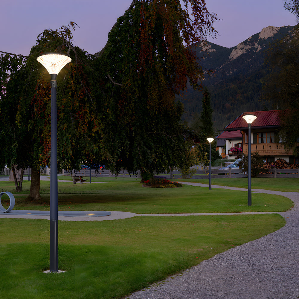 1-Light Black Outdoor LED Solar Lamp Post and Pole