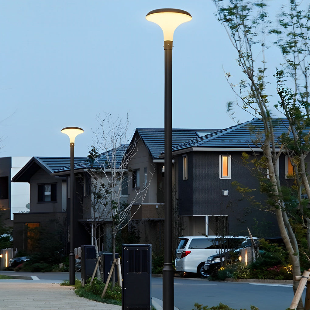 Circular Mushroom Waterproof Intelligent Black Contemporary Solar Lamp, lighting fixture, main view, Tianguang Select