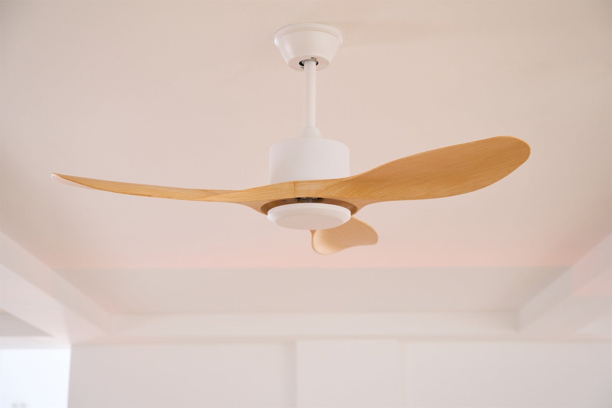Amelia Ceiling Fan Light