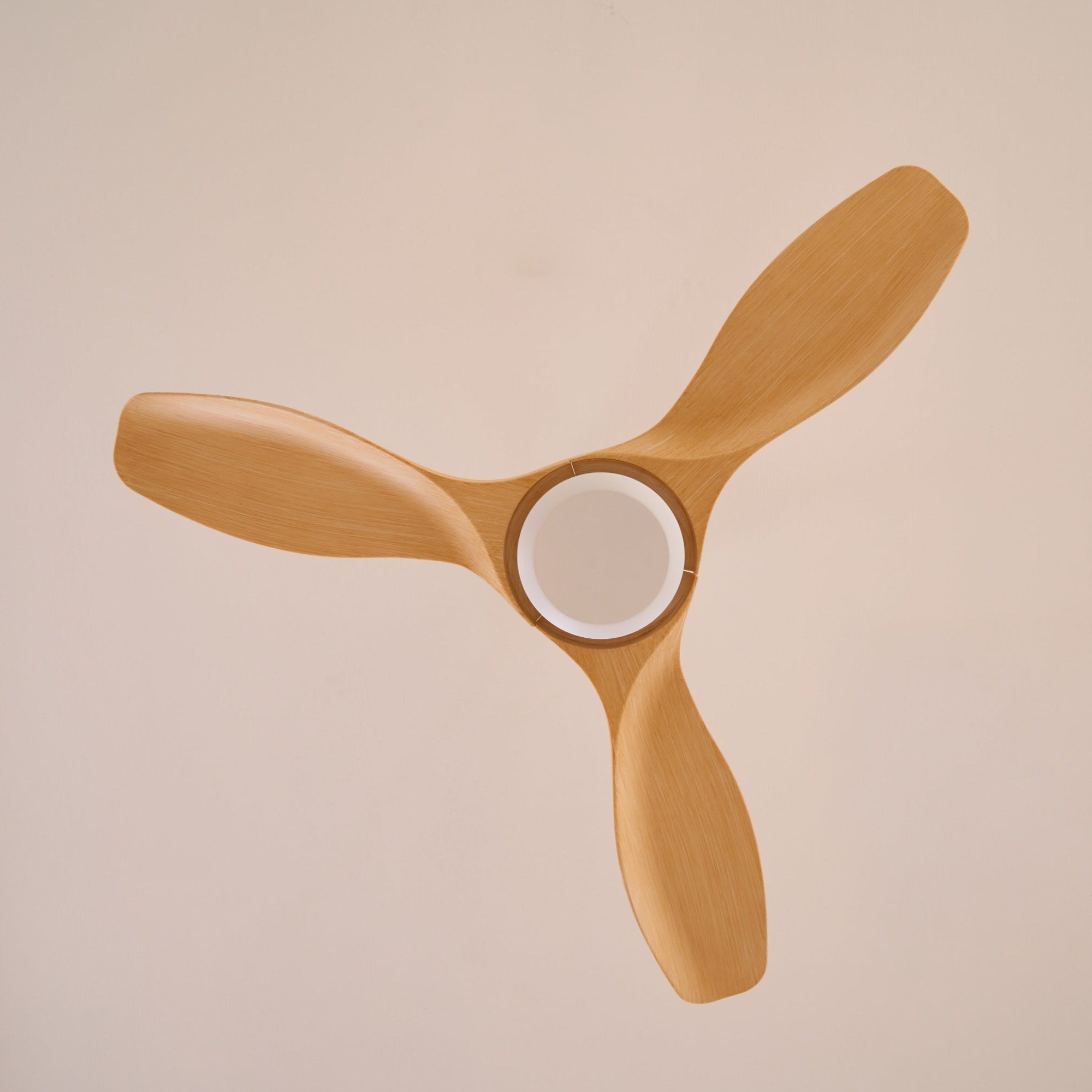 Amelia Ceiling Fan Light