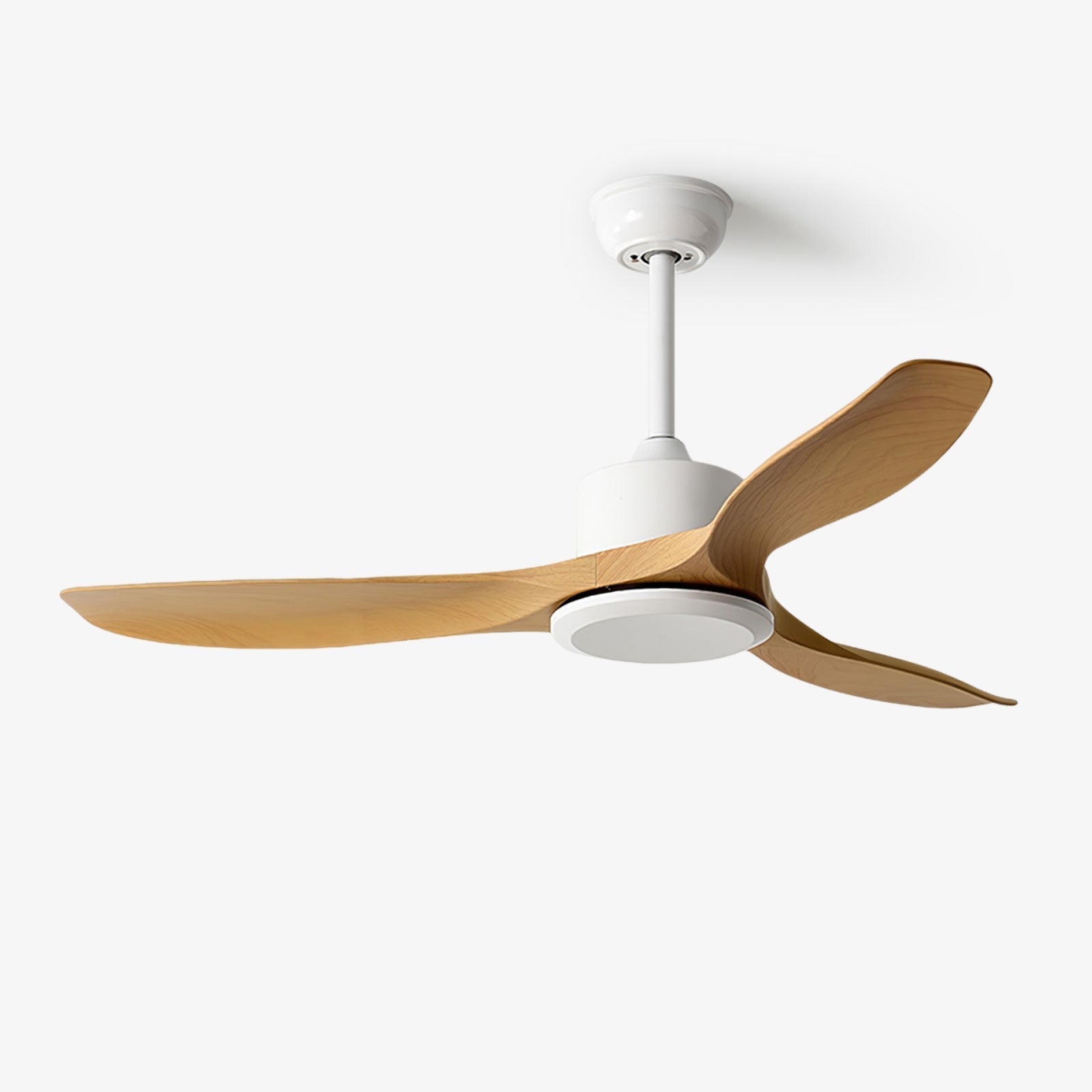 Amelia Ceiling Fan Light