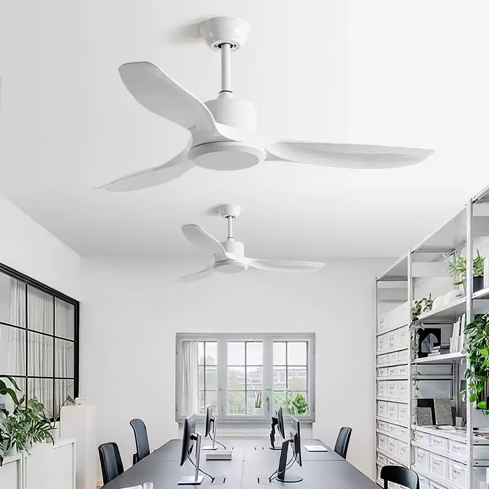 Amelia Ceiling Fan Light