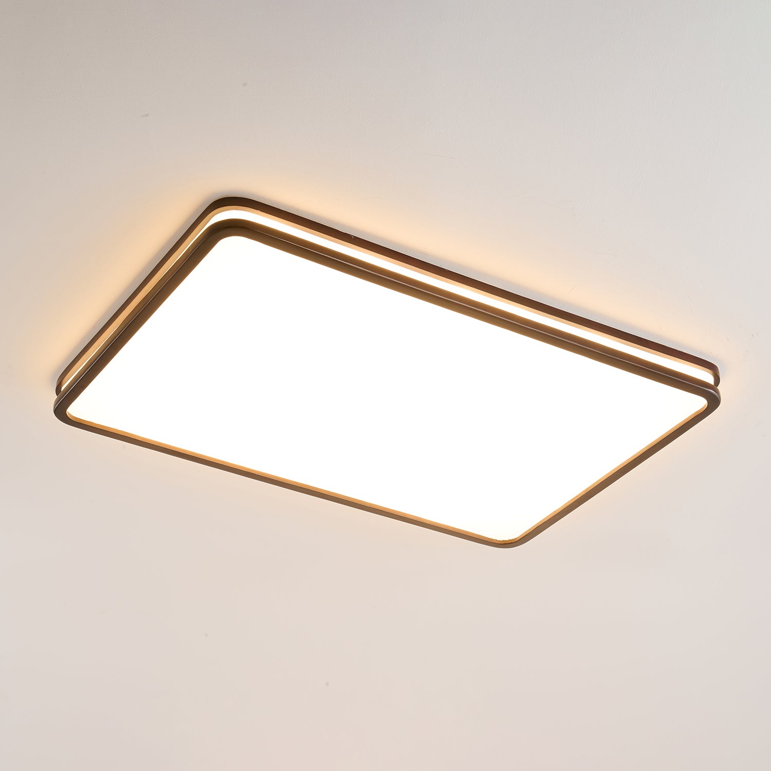 Cirro Ceiling Light detail view 28