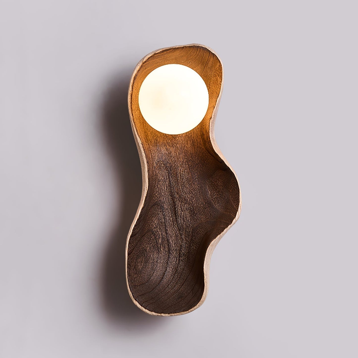 Dualis Rootlight Wall Light, Hardwired Wall Sconce, Wood, 1-light Size: Dia 15cm x H