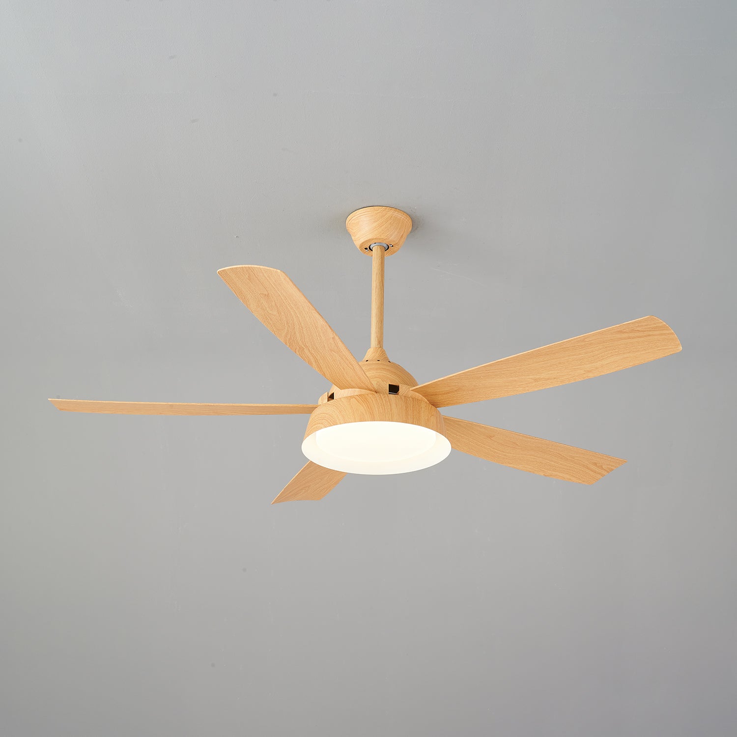 Elysian Ceiling Fan Light