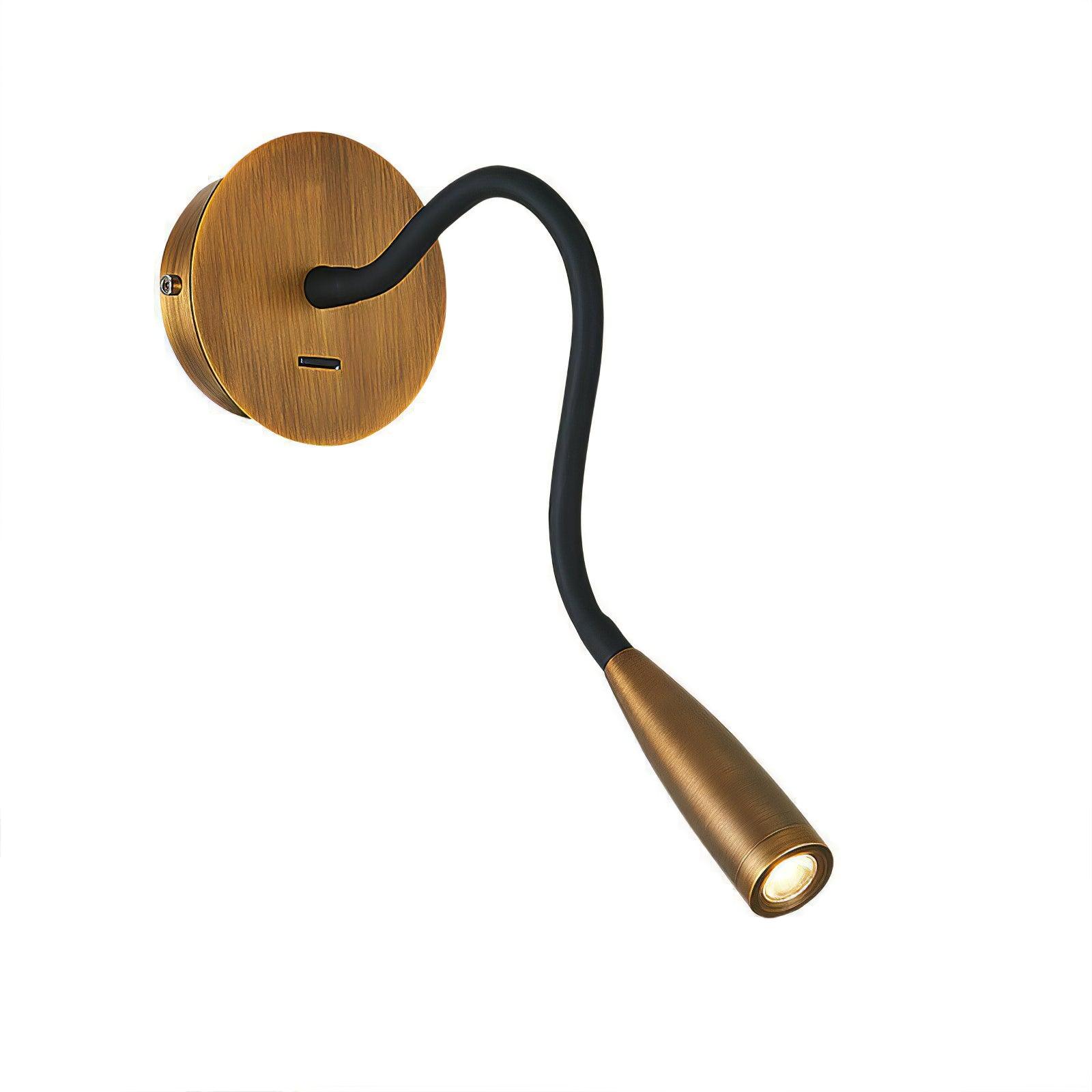 Flexi Hose Wall-mounted Light Wall Sconce