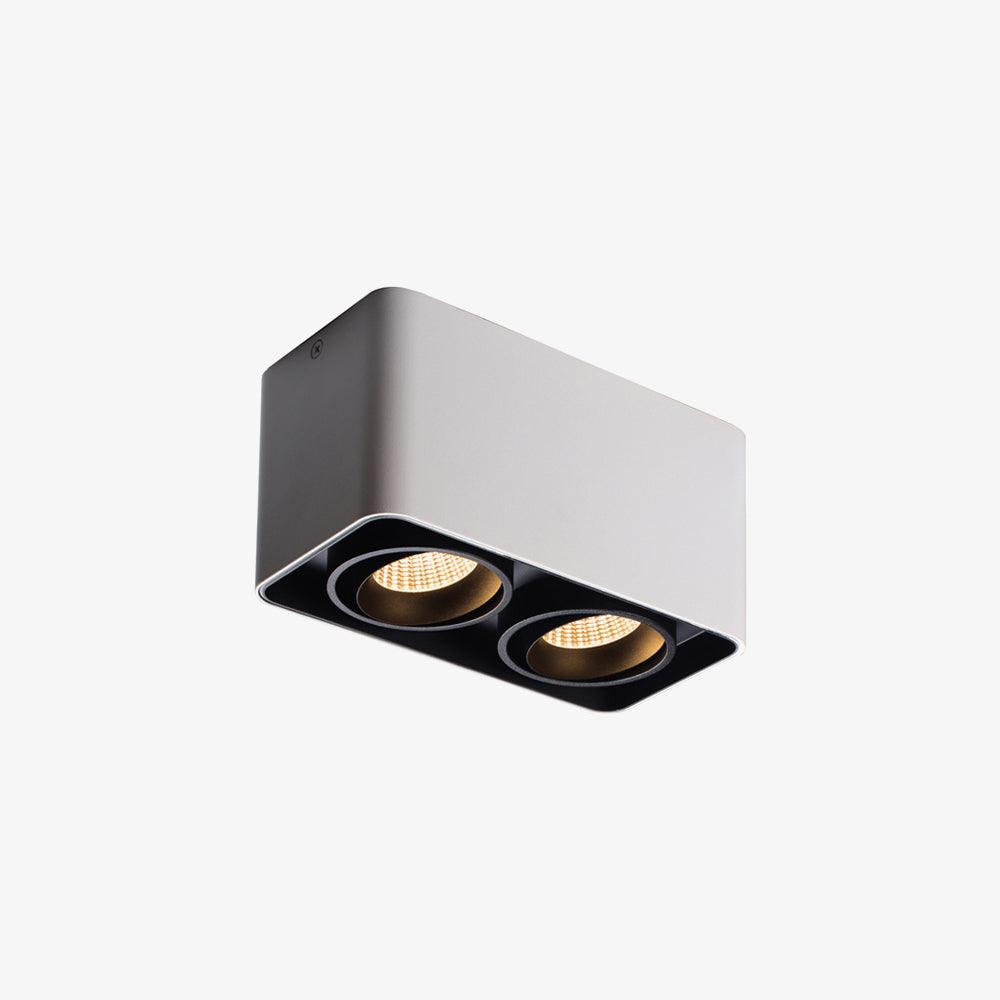 Giyan Overhead Fixture Spotlight