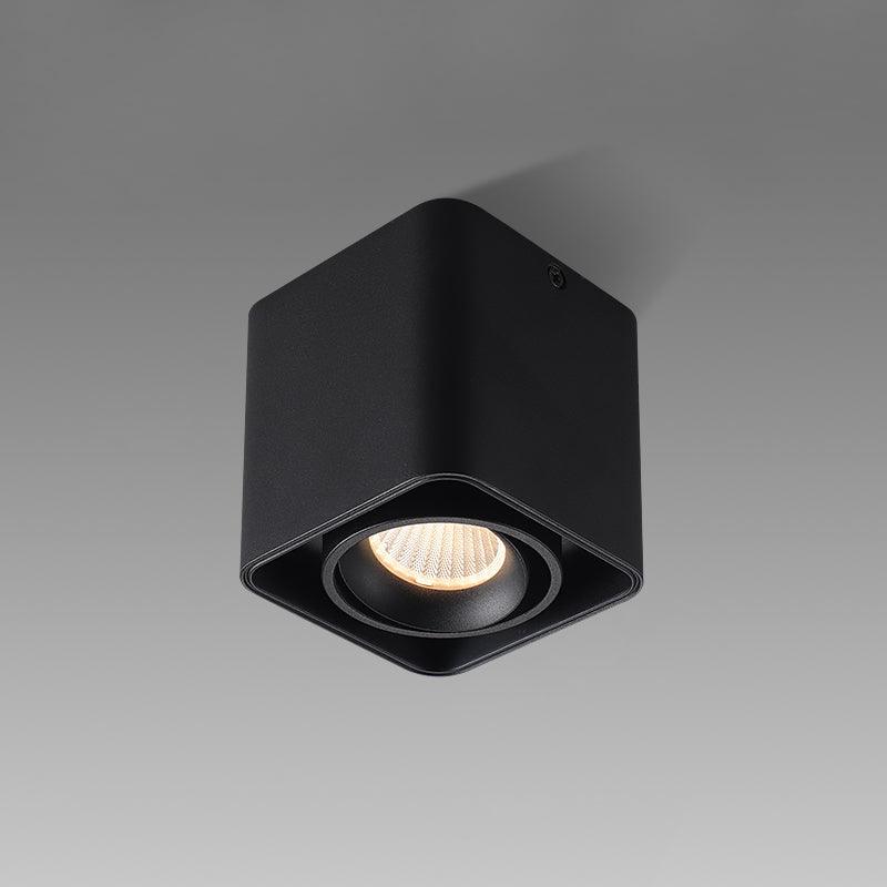 Giyan Overhead Fixture Spotlight