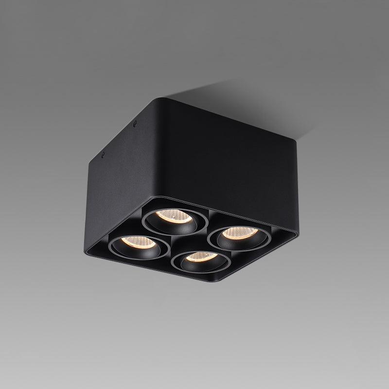 Giyan Overhead Fixture Spotlight