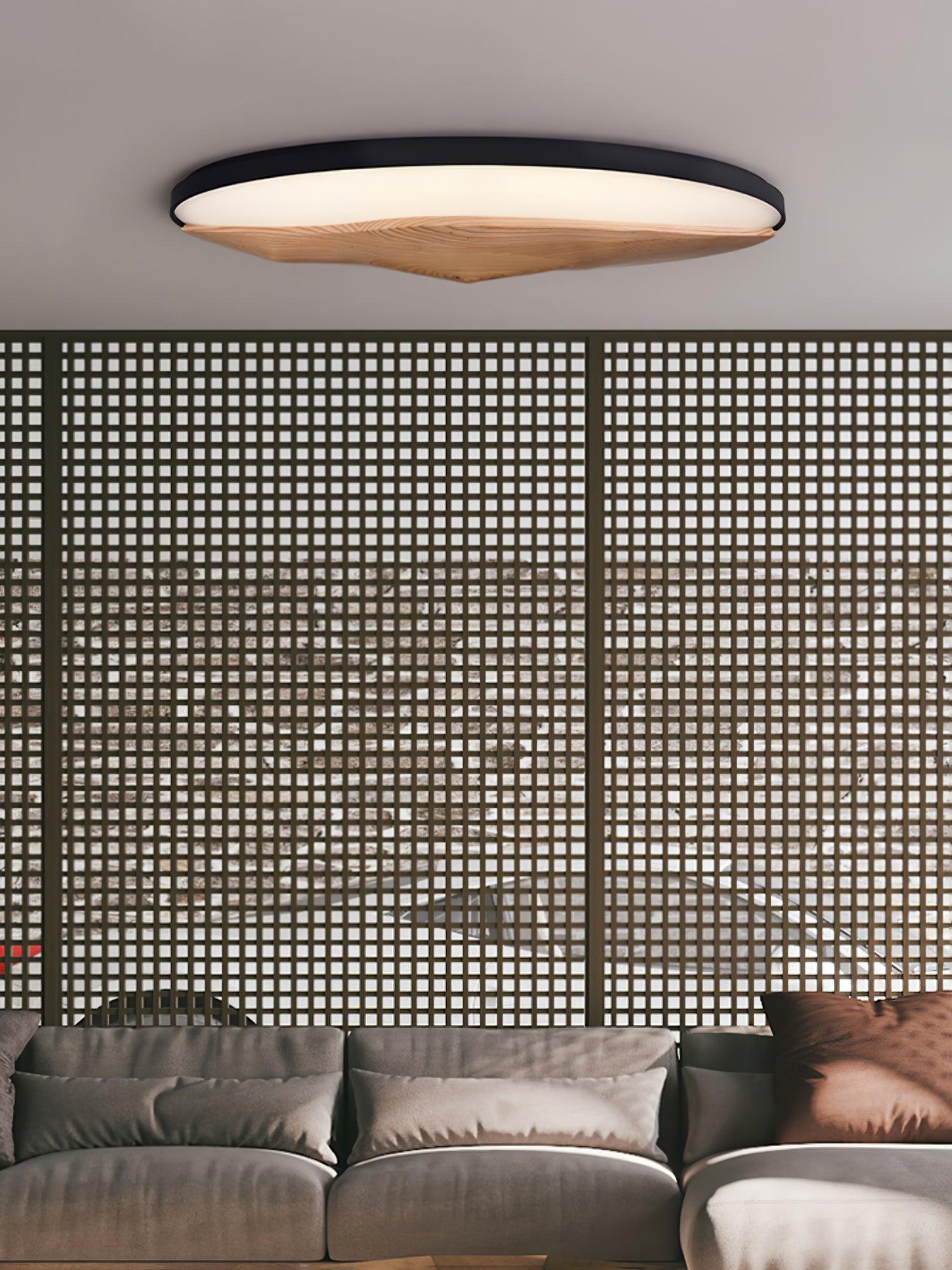 Half-Mountain Ceiling Lamp 47.2" — product detail 17