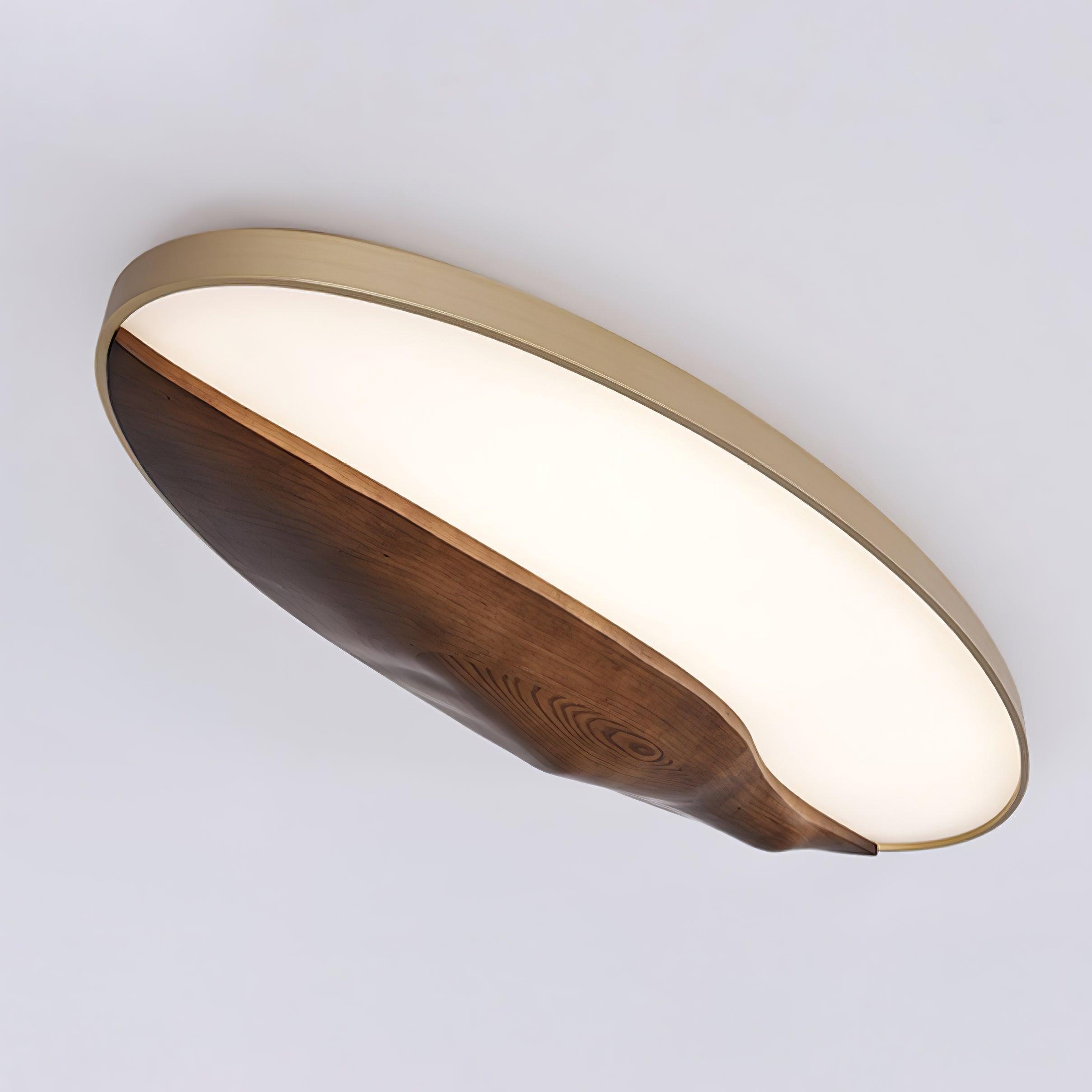 Half-Mountain Ceiling Lamp 47.2" — product detail 19