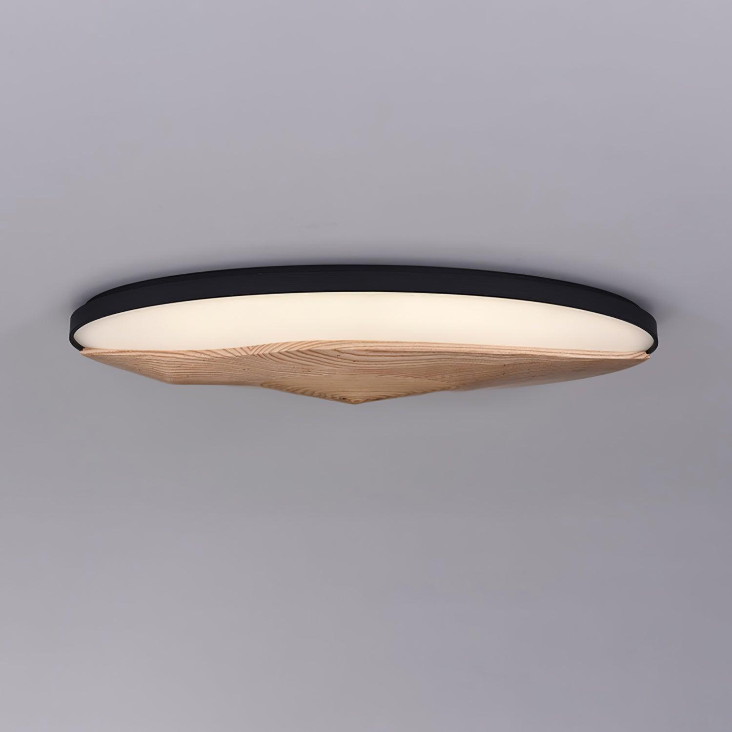 Half-Mountain Ceiling Lamp 47.2" — product detail 24