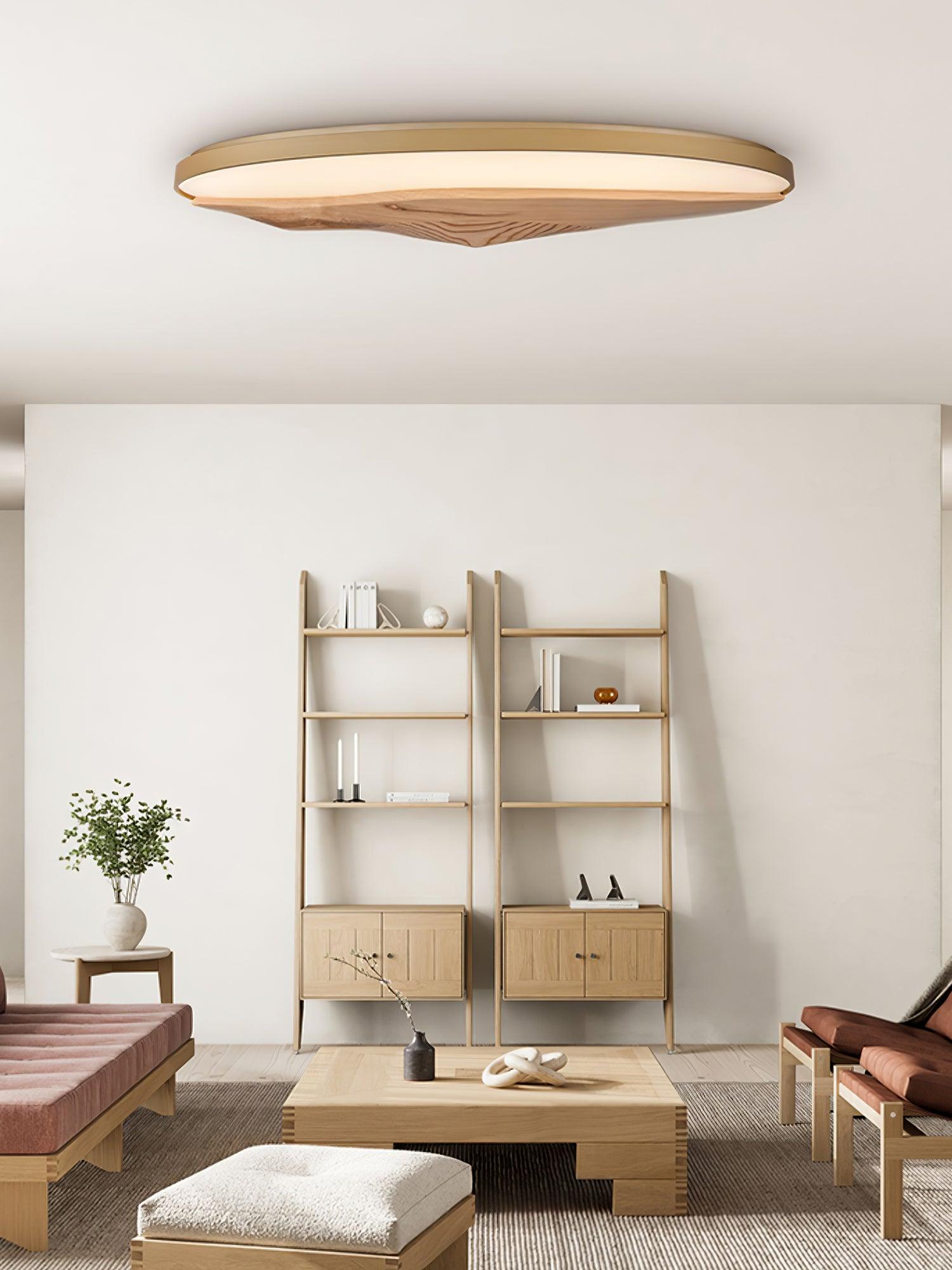 Half-Mountain Ceiling Lamp 47.2" — product detail 9