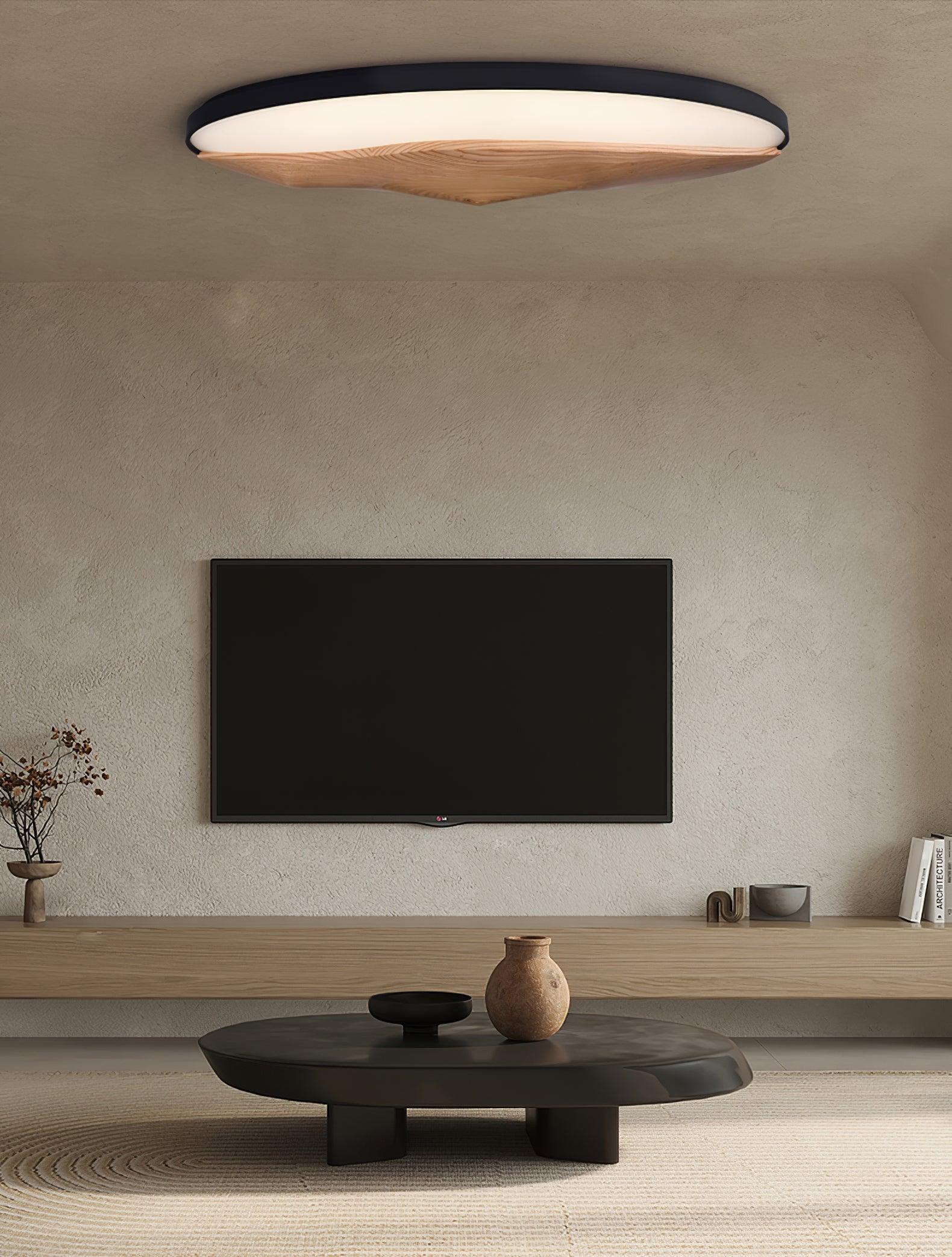 Half-Mountain Ceiling Lamp 47.2" — product detail 11