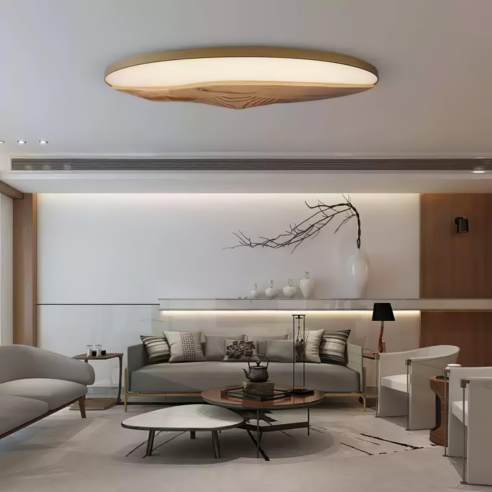 Half-Mountain Ceiling Lamp 47.2" — product detail 7
