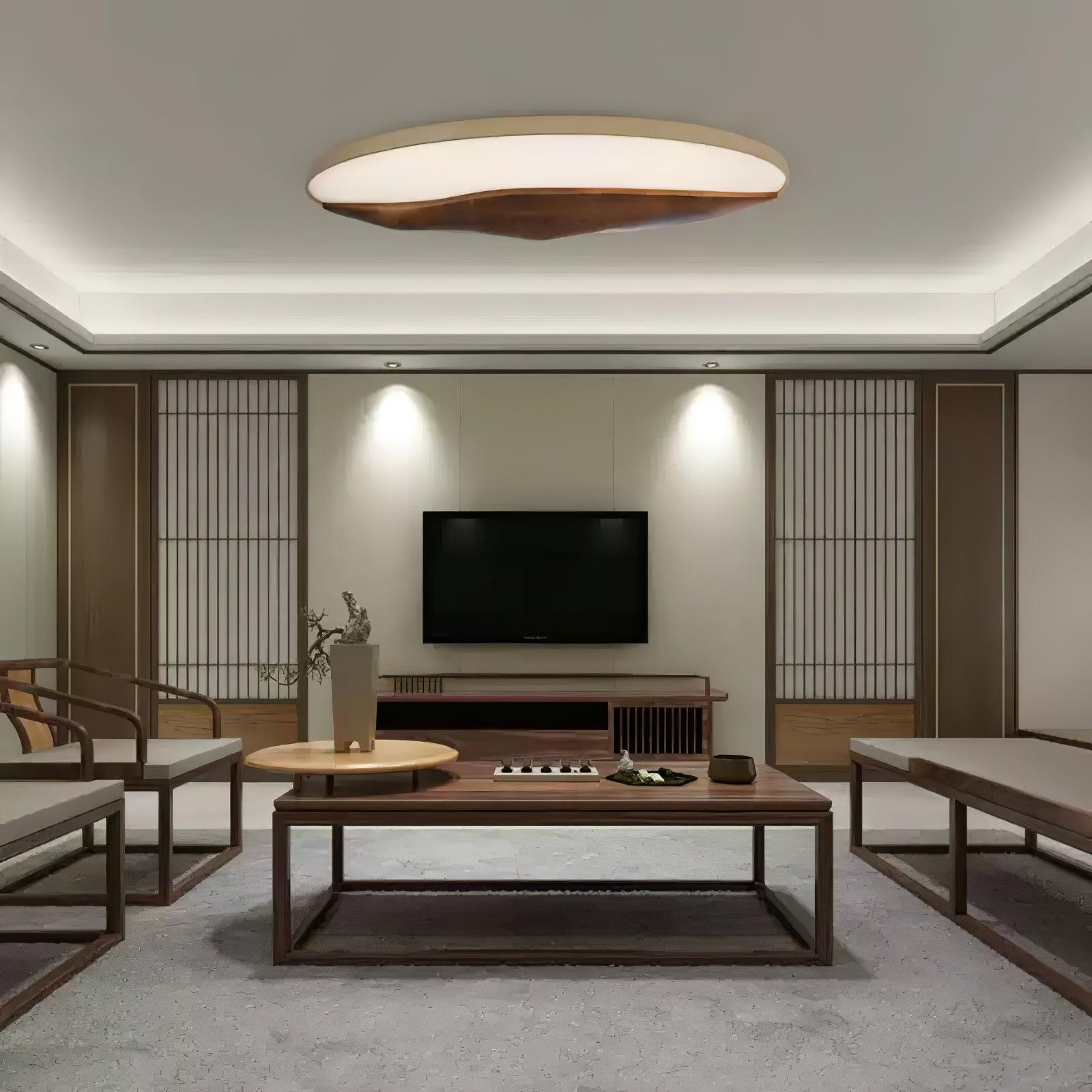 Half-Mountain Ceiling Lamp 47.2" — product detail 6