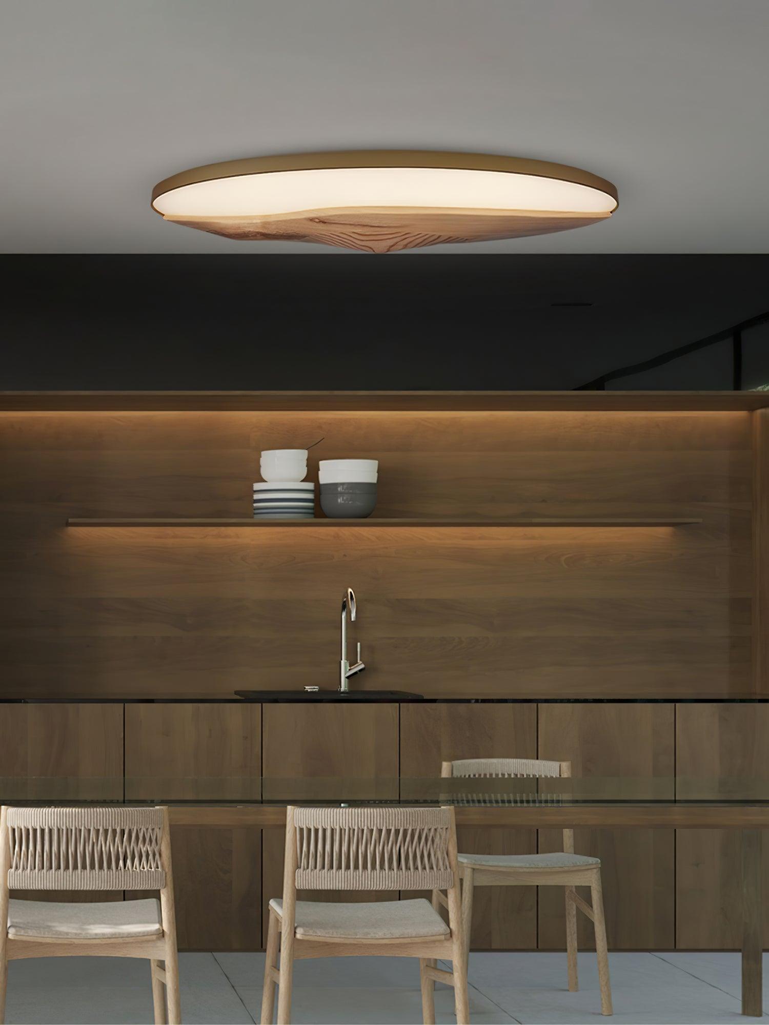 Half-Mountain Ceiling Lamp 47.2" — product detail 13