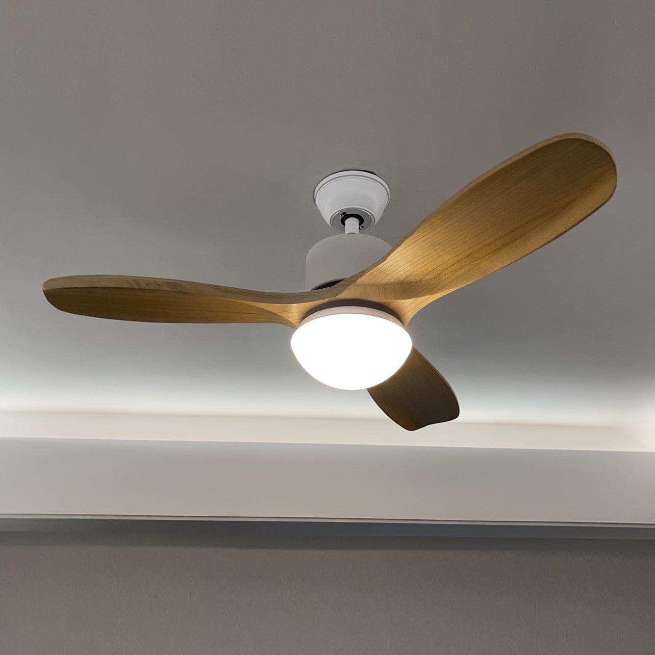 Harborough 3 Ceiling Fixture Ceiling Fan