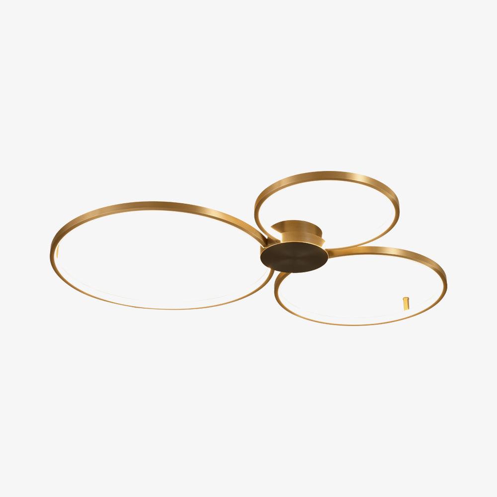 Loop LED Ceiling Fixture Ceiling Light