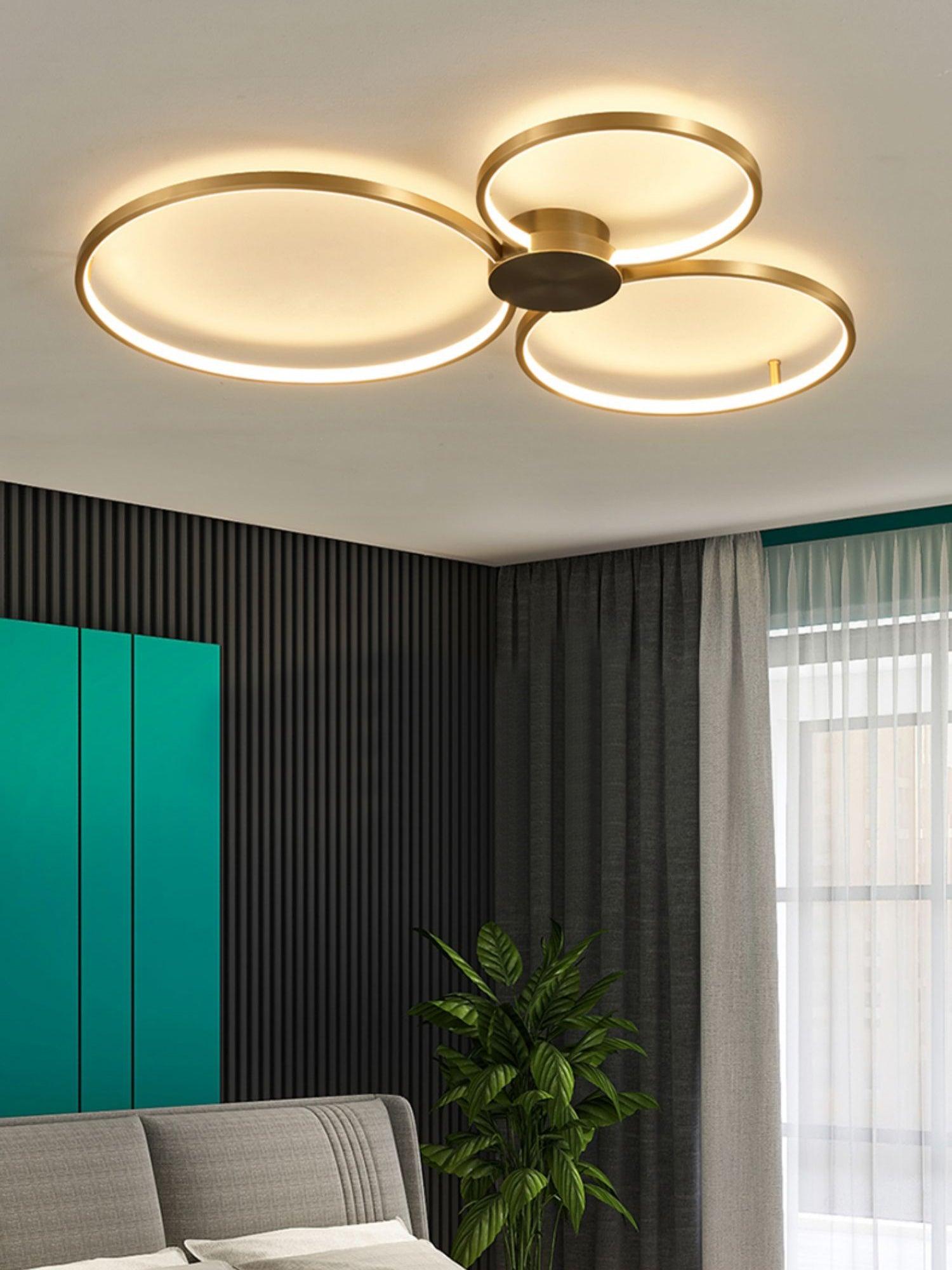 Loop LED Ceiling Fixture Ceiling Light