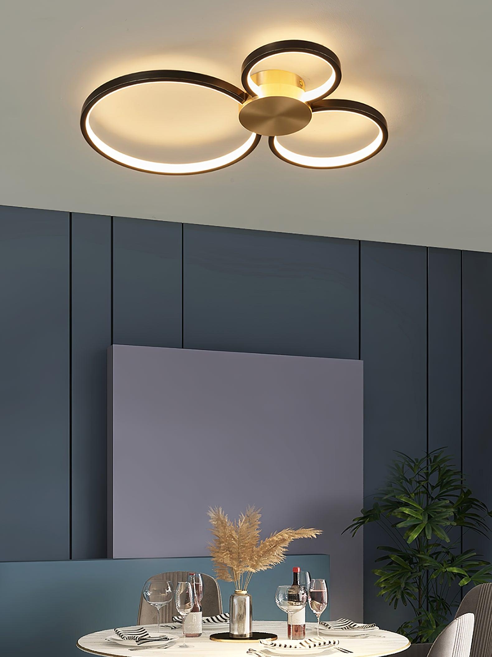 Loop LED Ceiling Fixture Ceiling Light