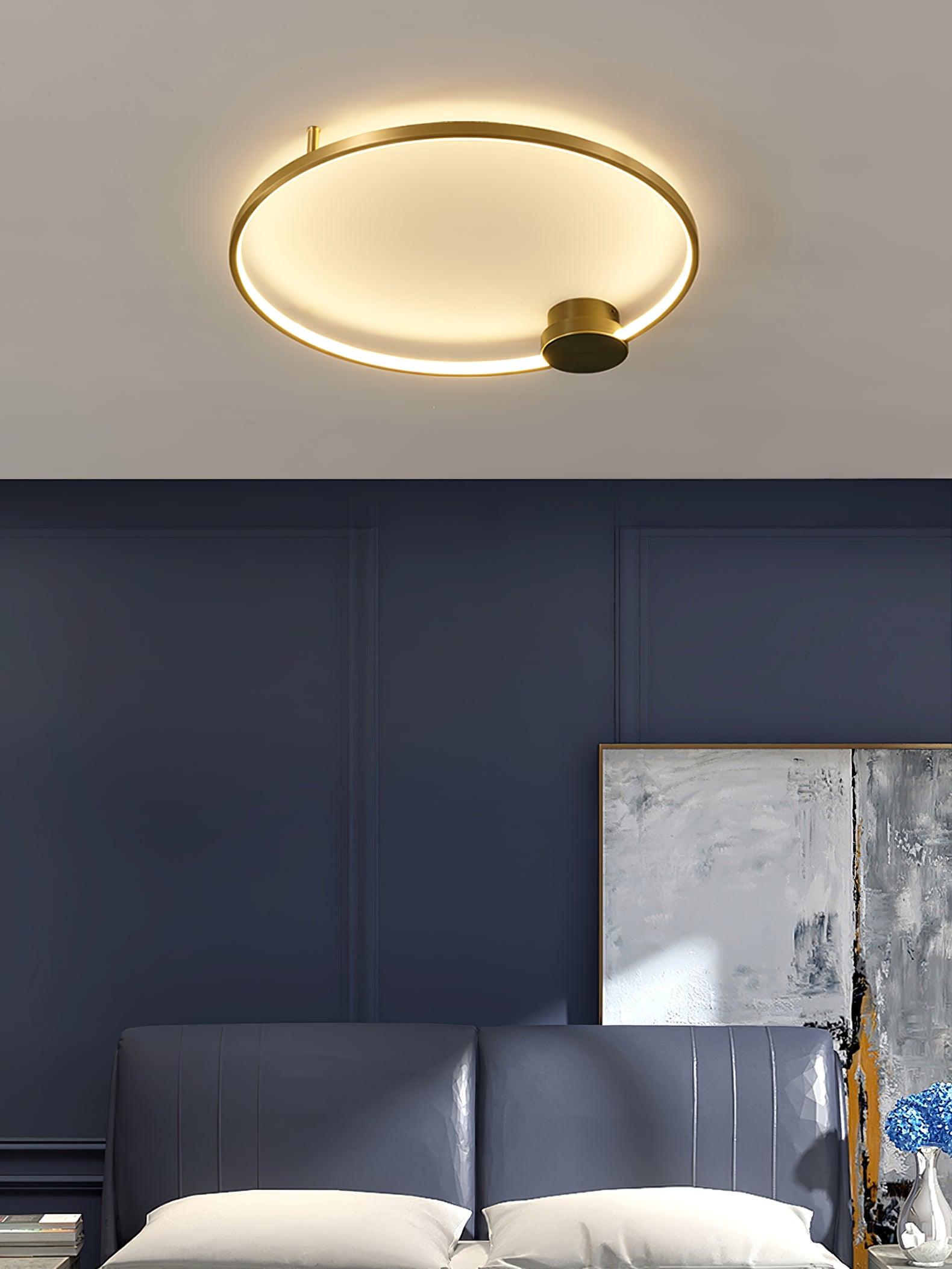 Loop LED Ceiling Fixture Ceiling Light