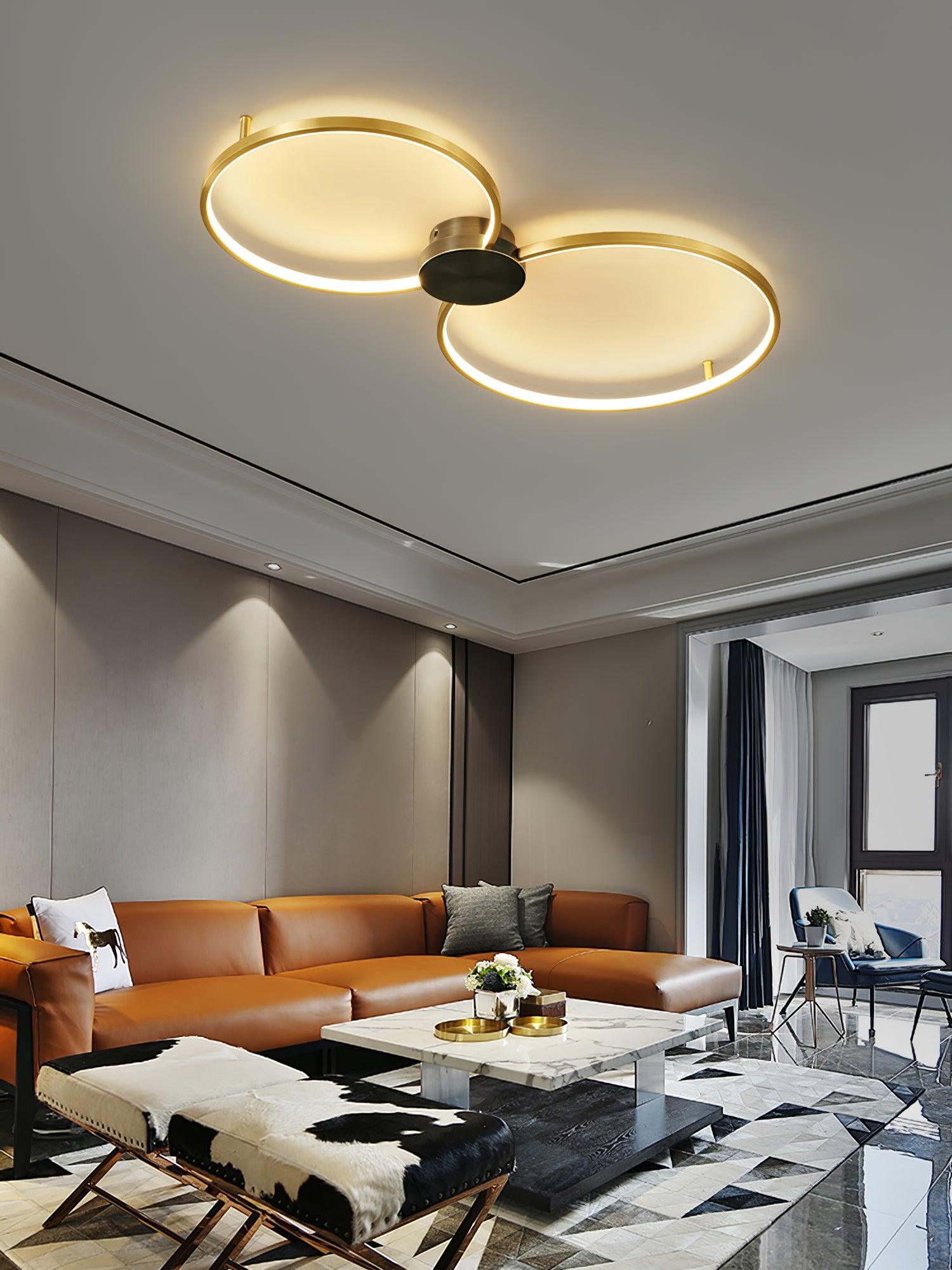 Loop LED Ceiling Fixture Ceiling Light