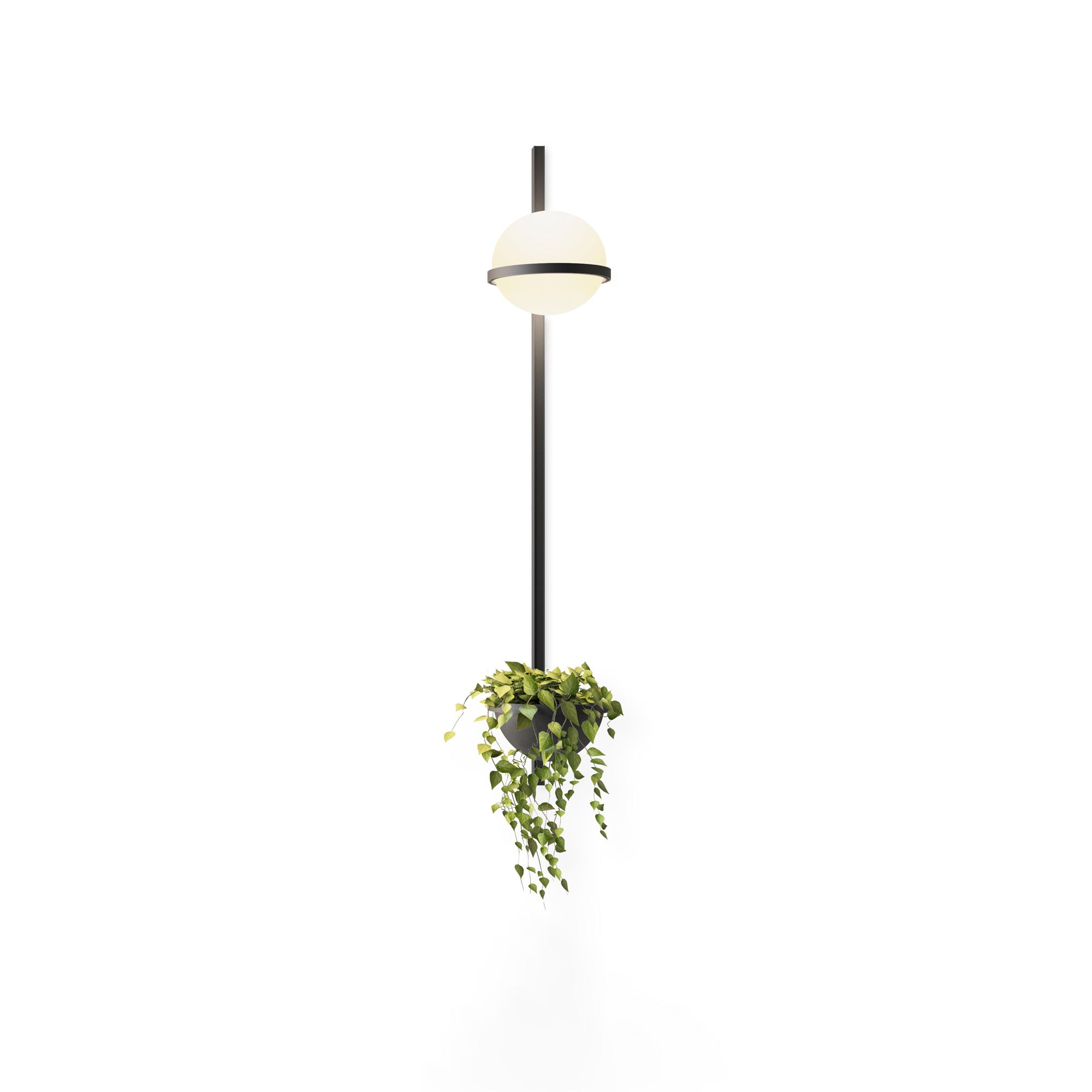 Solstice Exterior Wall Light, Outdoor Wall Light, detail 46