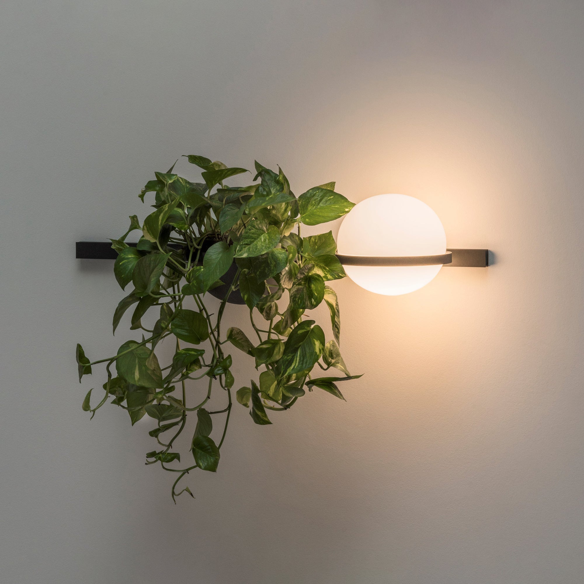 Solstice Exterior Wall Light, Outdoor Wall Light, detail 25