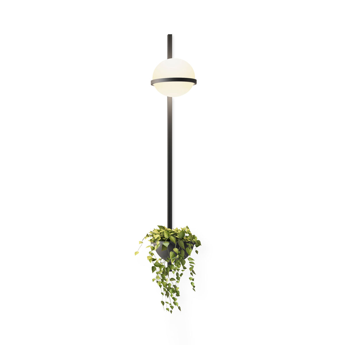 Solstice Exterior Wall Light, Outdoor Wall Light, detail 43