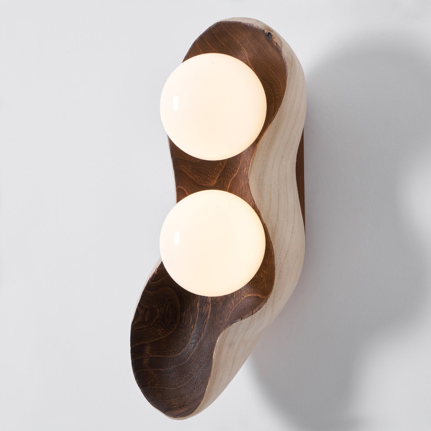 Dualis Rootlight Wall Sconce