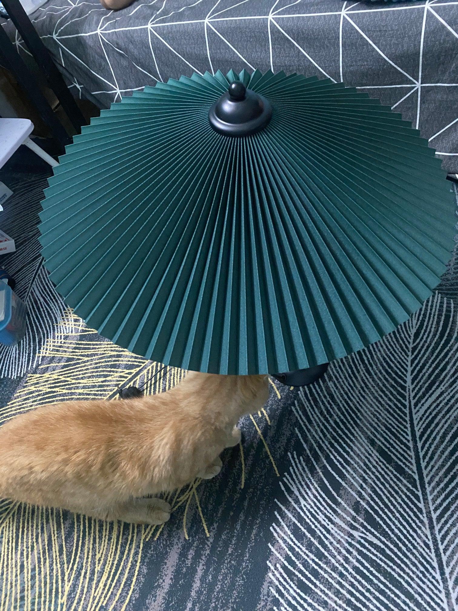 Pleated Hat Portable Lamp Table Lamp