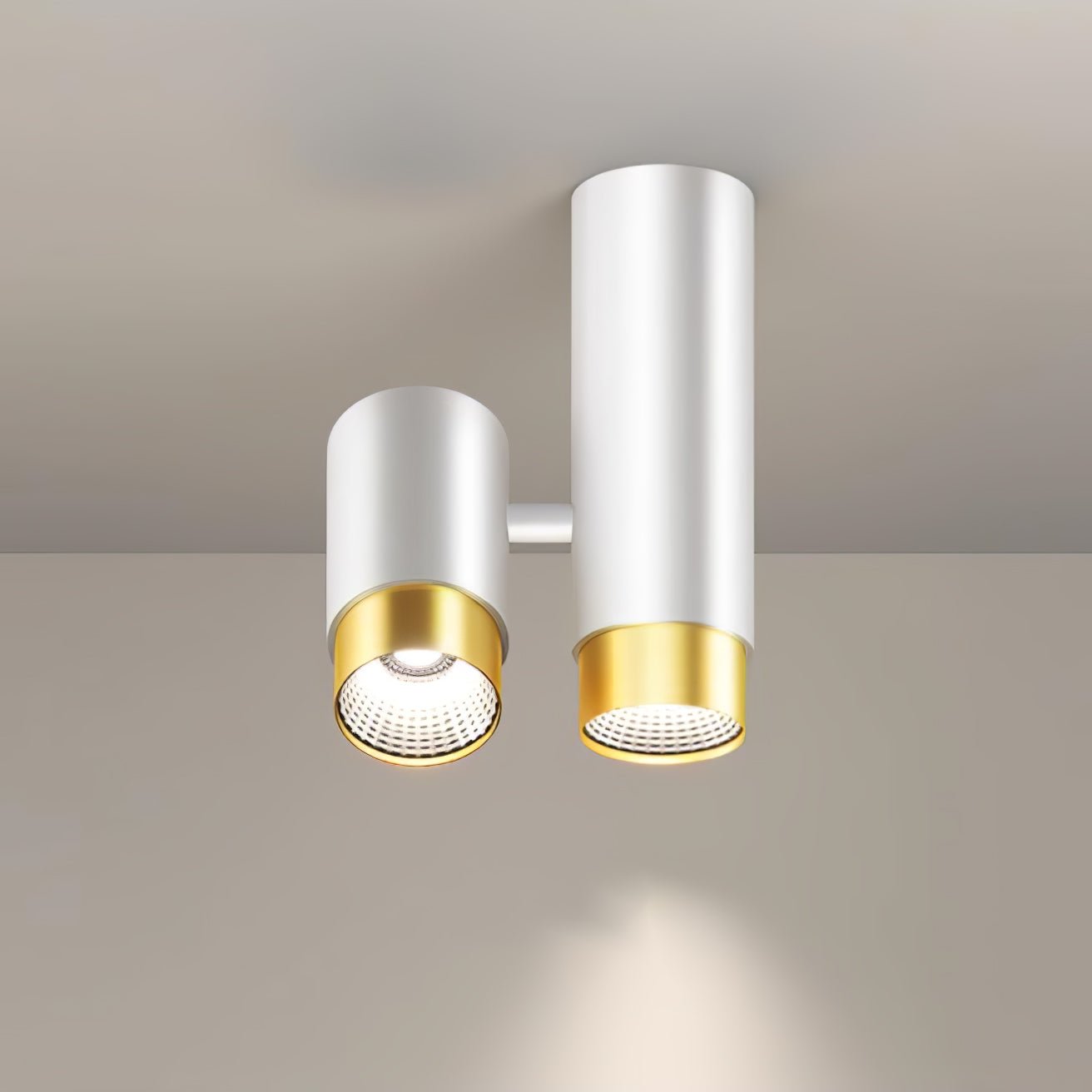 Puma Spotlight Ceiling-mounted Light Ceiling Light