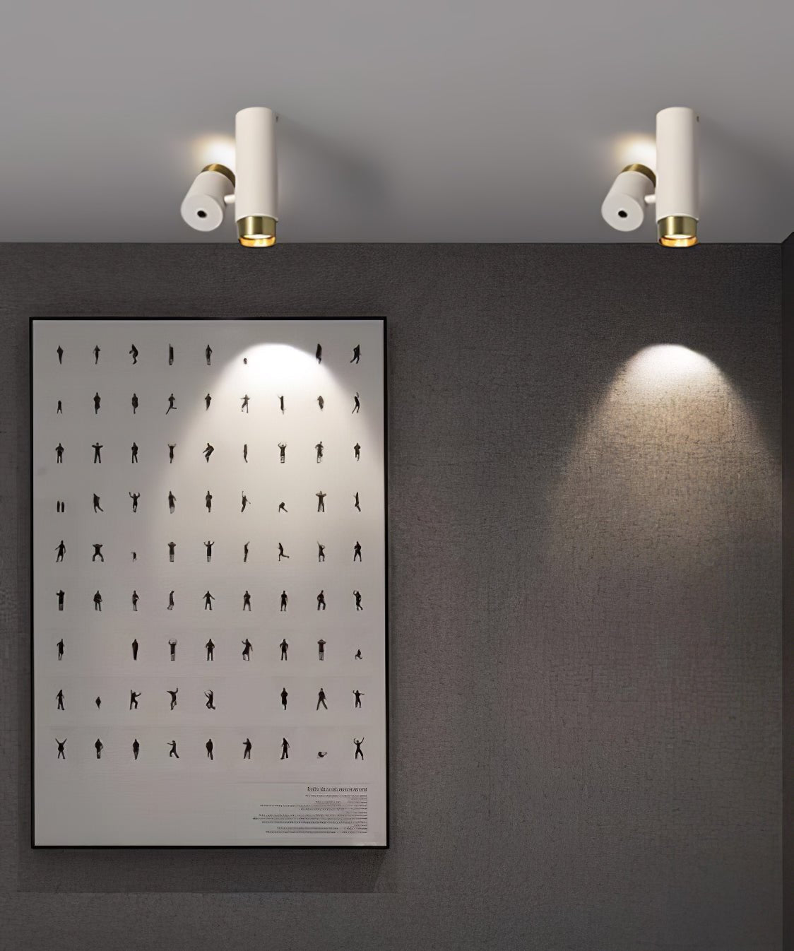 Puma Spotlight Ceiling-mounted Light Ceiling Light