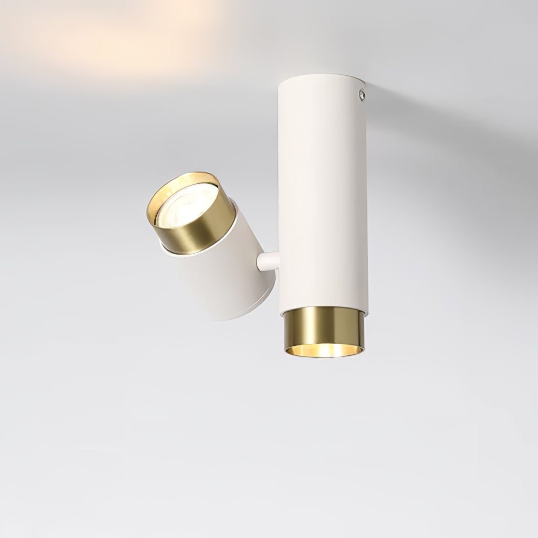 Puma Spotlight Ceiling-mounted Light Ceiling Light