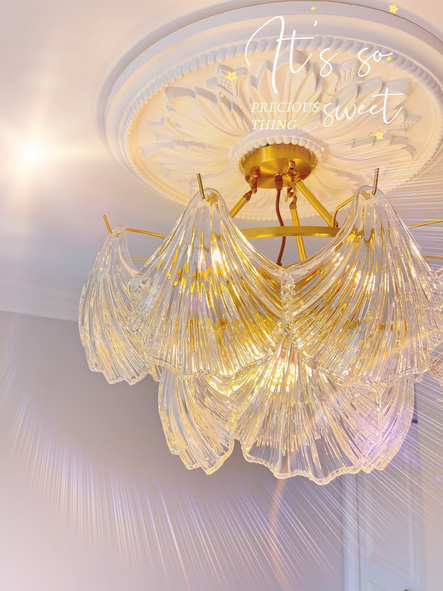 Ribbed Shell Ceiling Fixture Ceiling Light