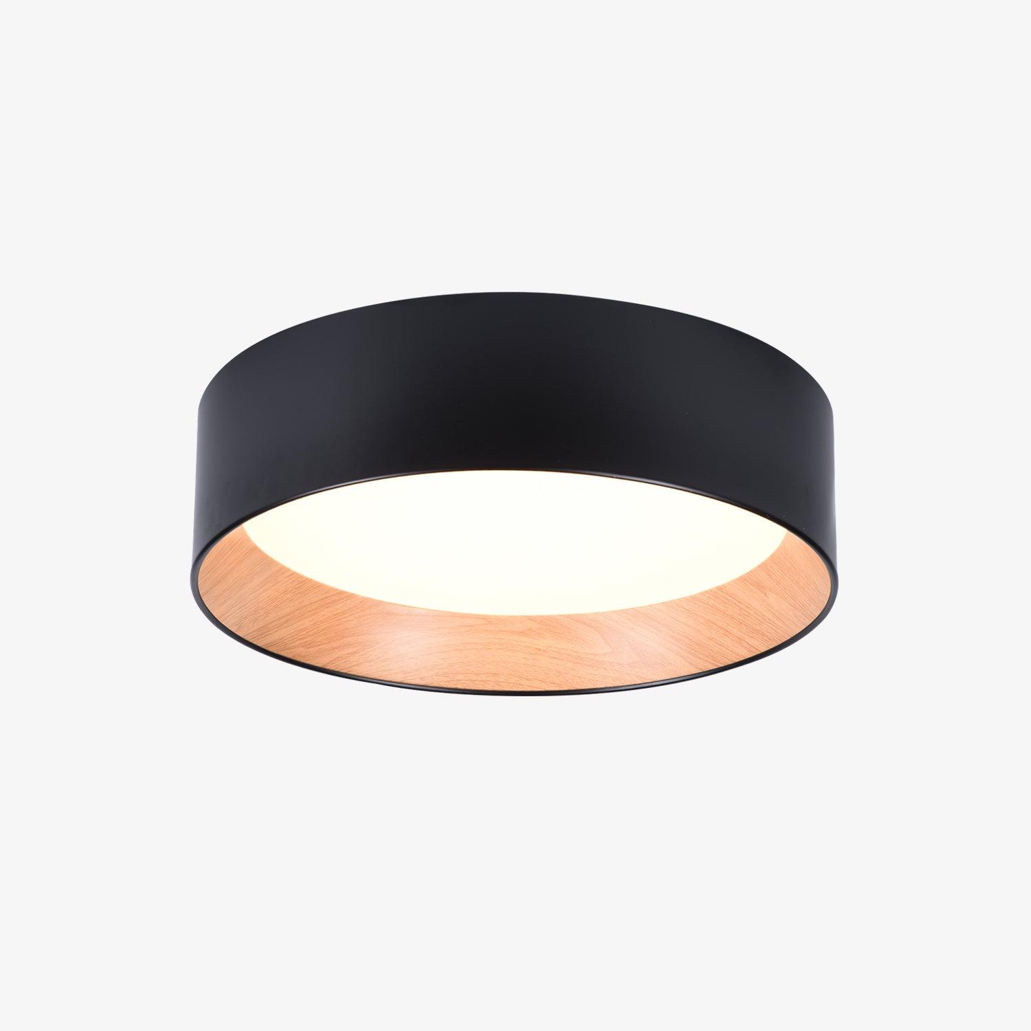 Round Ceiling Light Ceiling Lamp