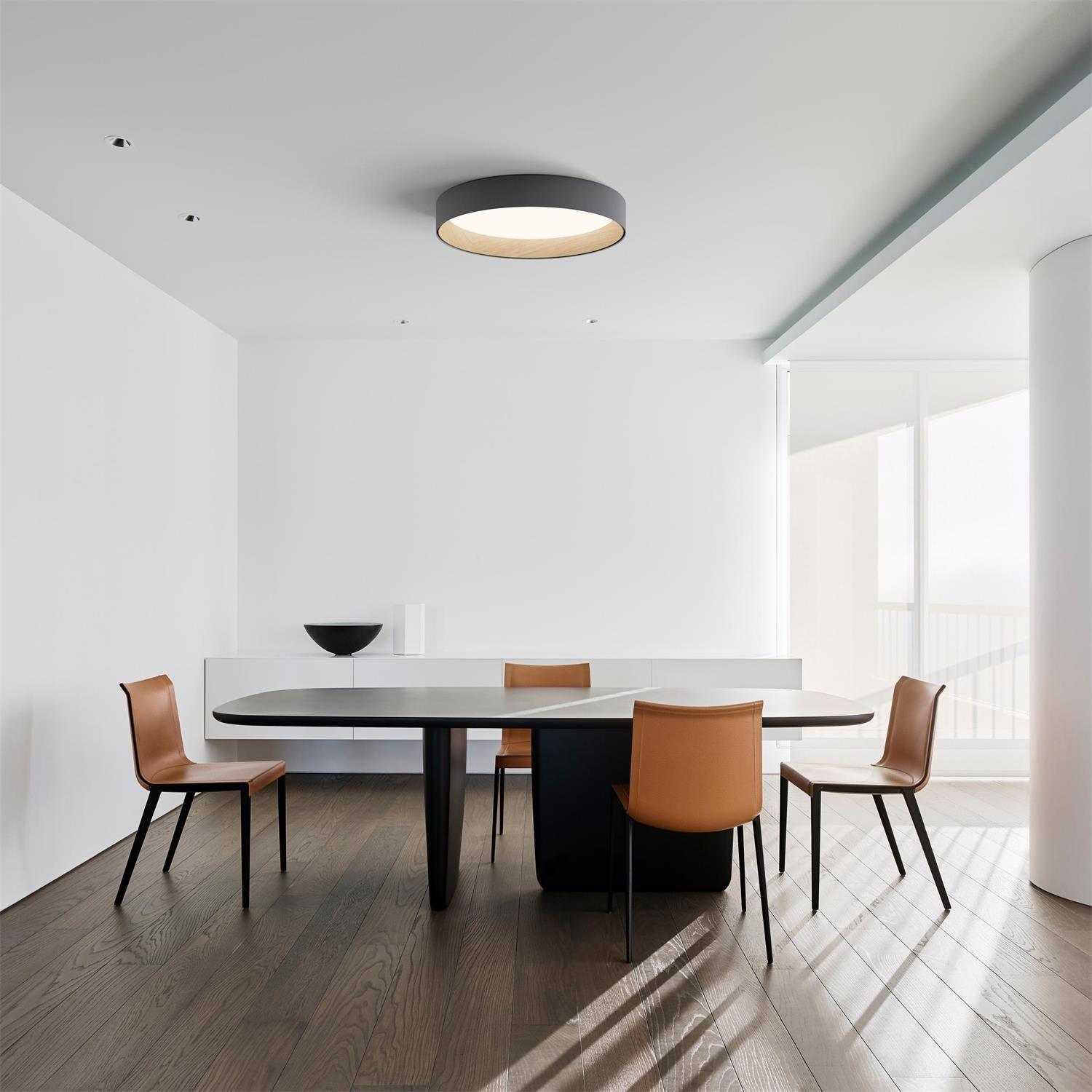 Round Ceiling Light Ceiling Lamp