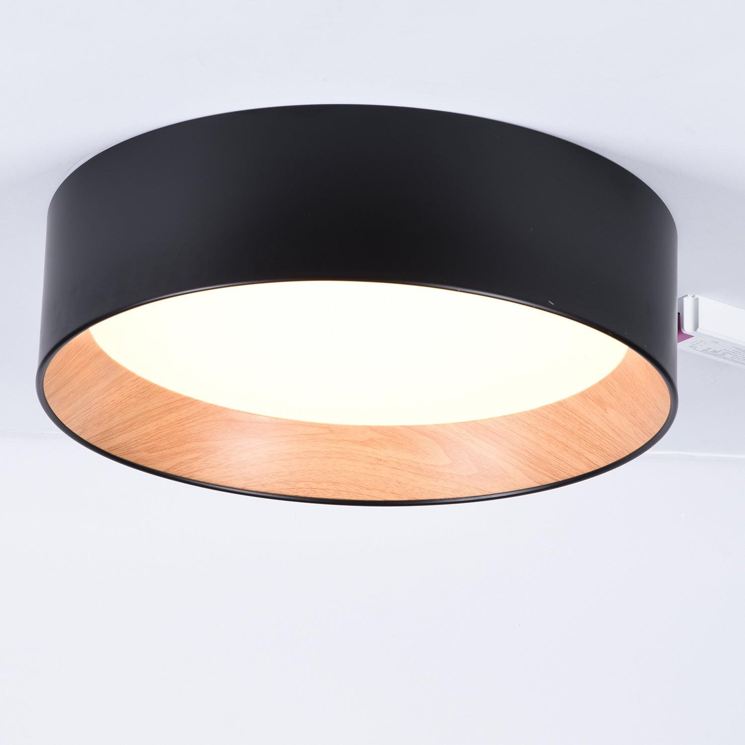 Round Ceiling Light Ceiling Lamp
