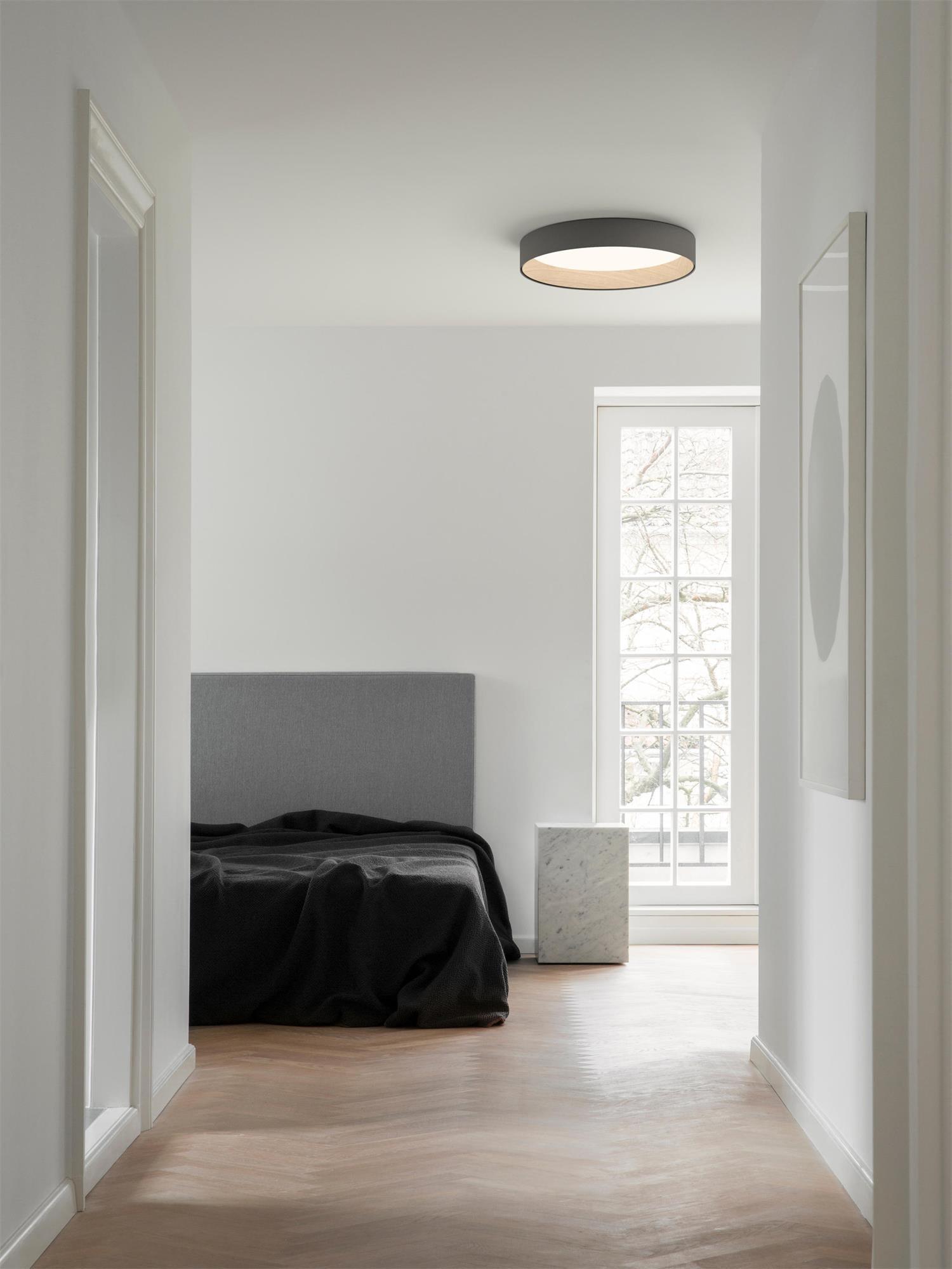 Round Ceiling Light Ceiling Lamp