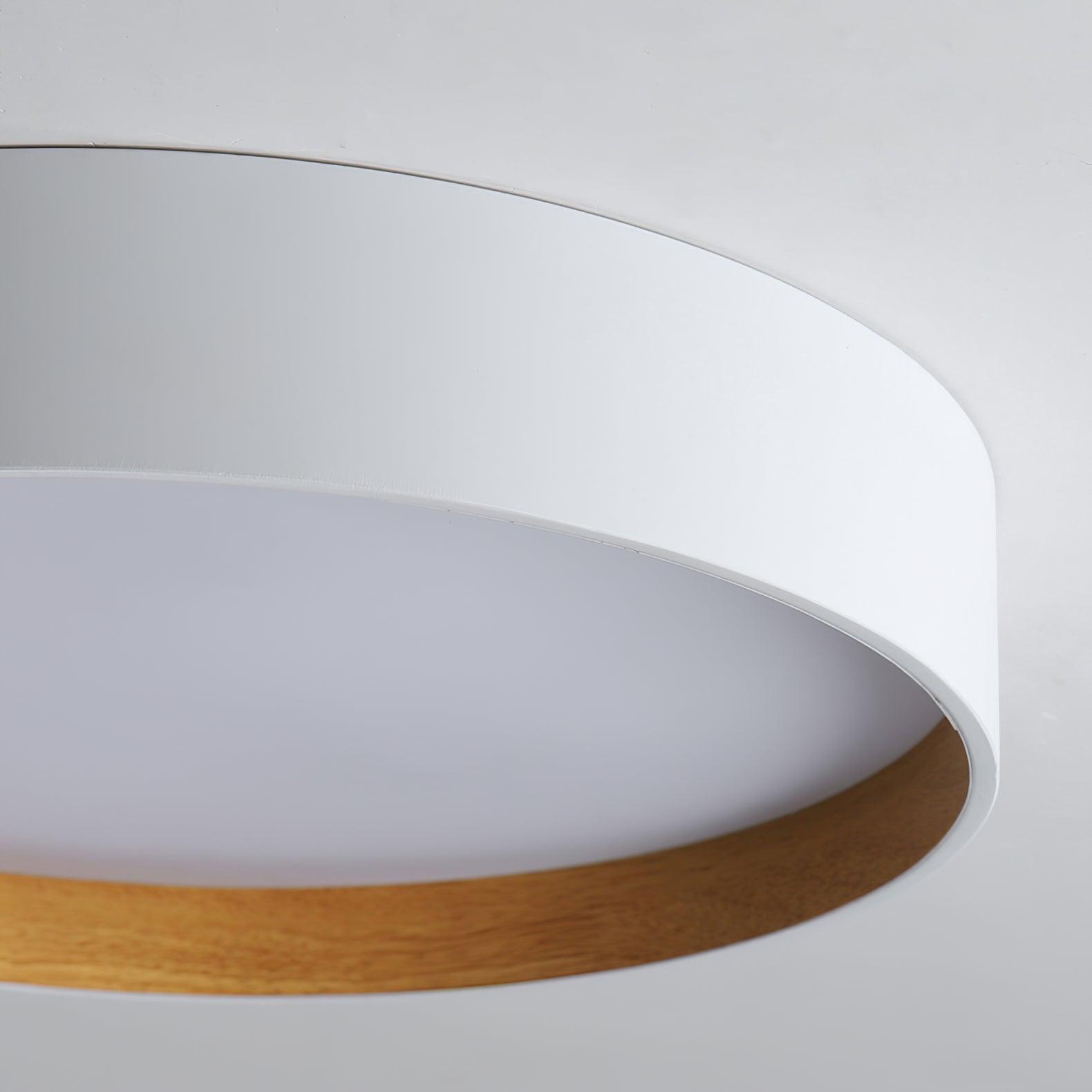 Round Ceiling Light Ceiling Lamp