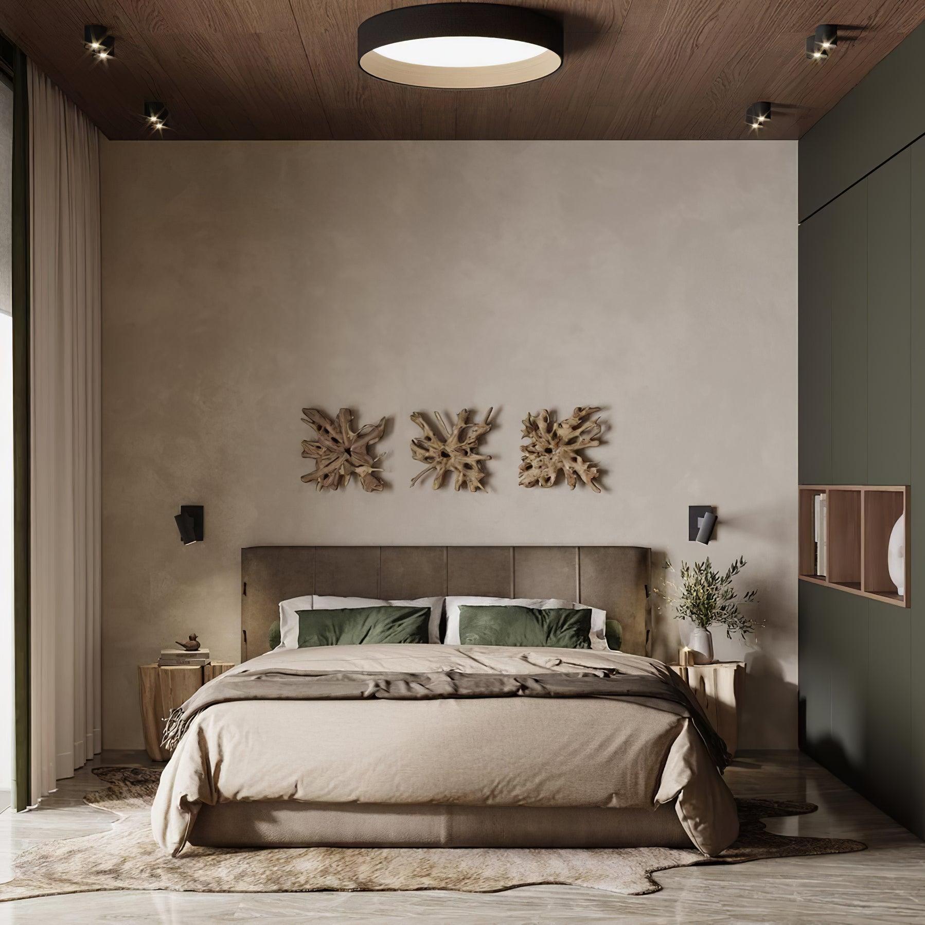 Round Ceiling Light Ceiling Lamp