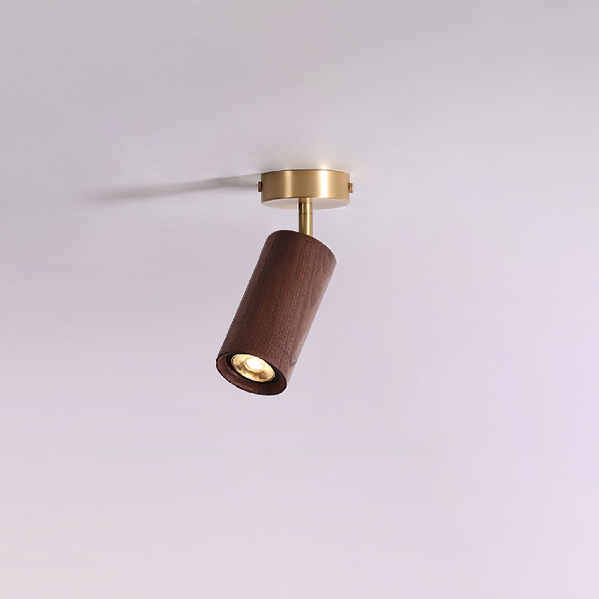 Rowan Ceiling Light